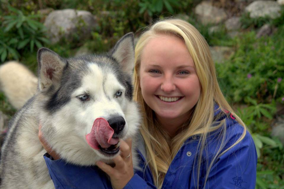 Skogskoier på Budor
