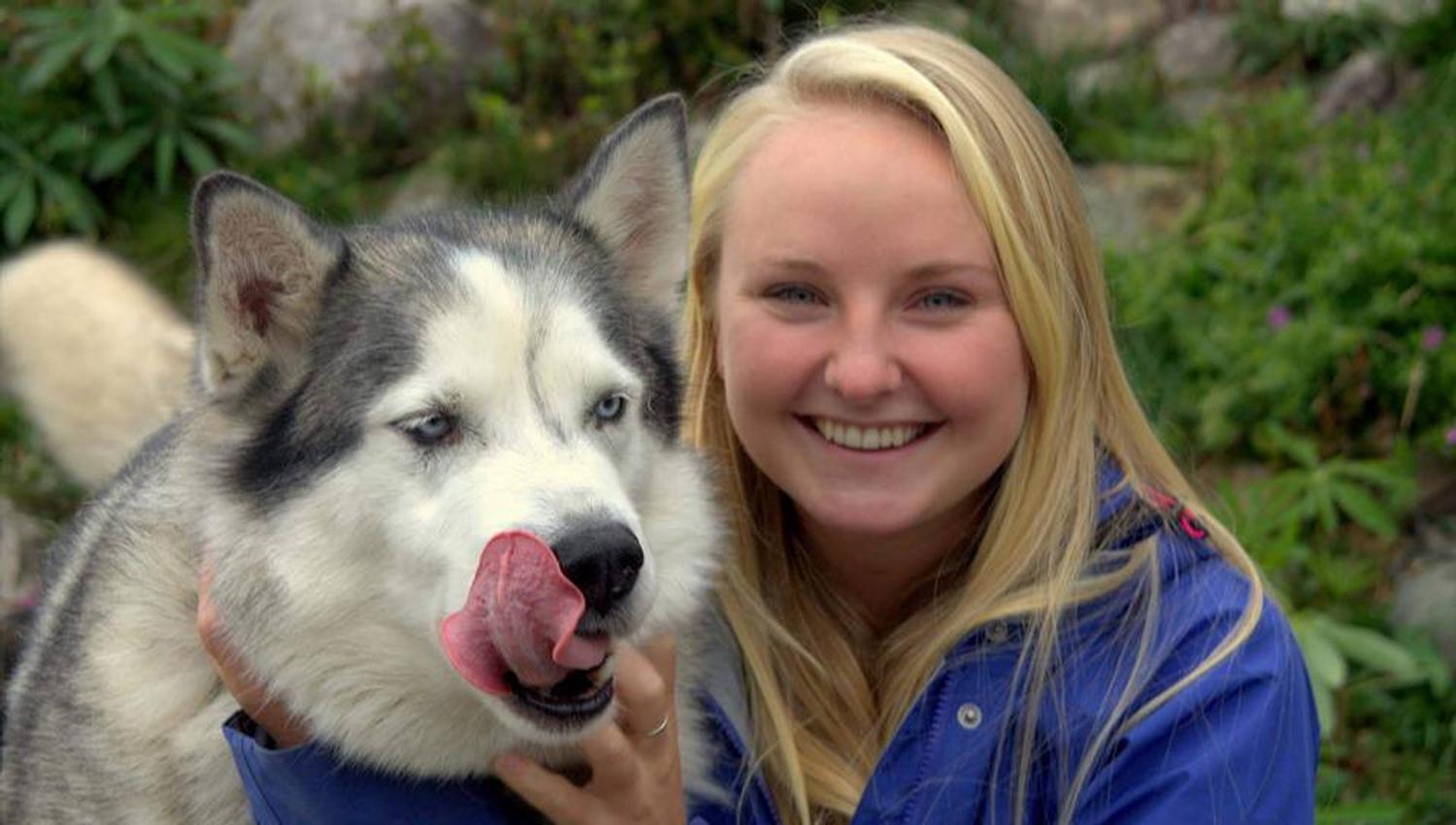 Skogskoier på Budor