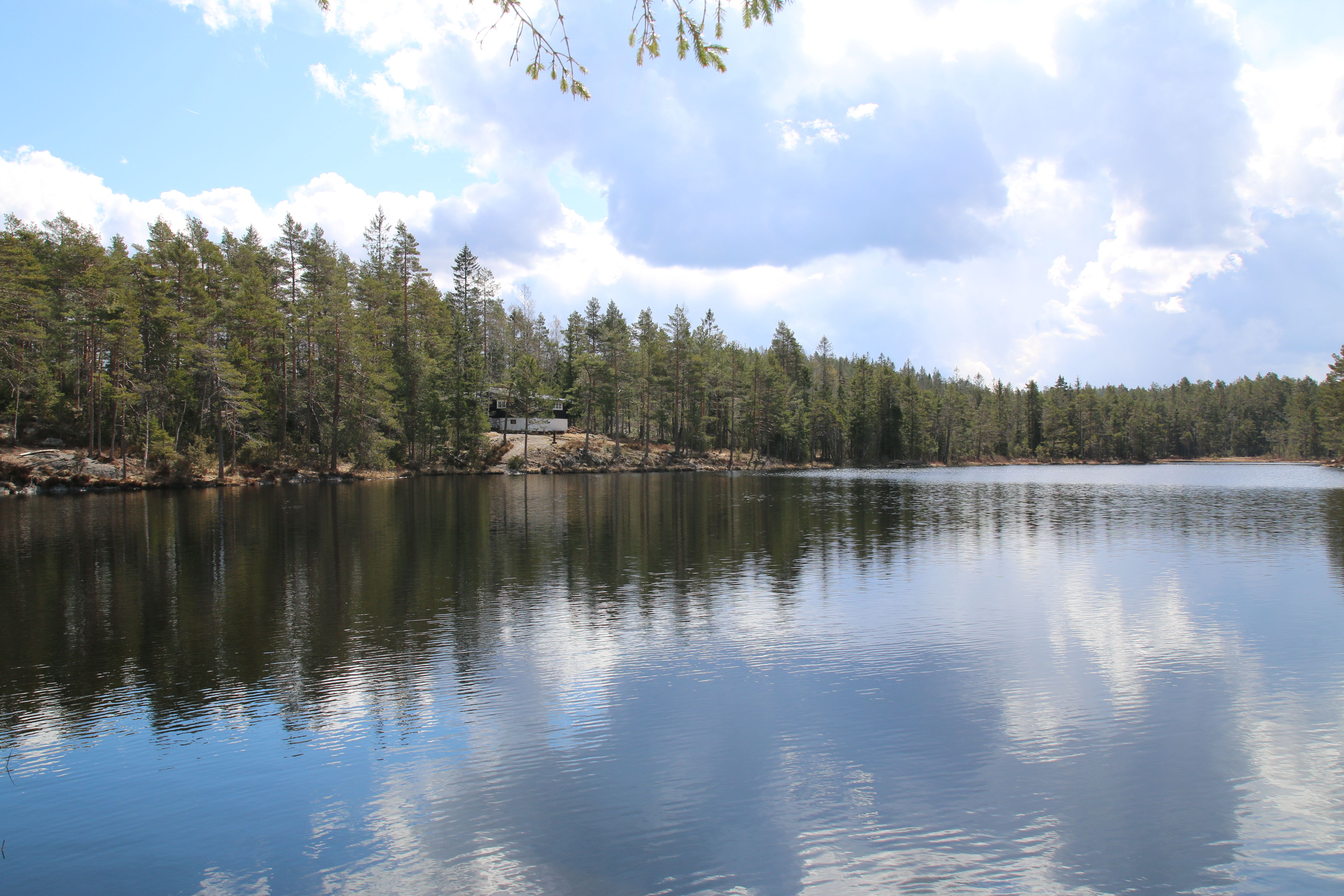 utsikt over stille tjern og hytte