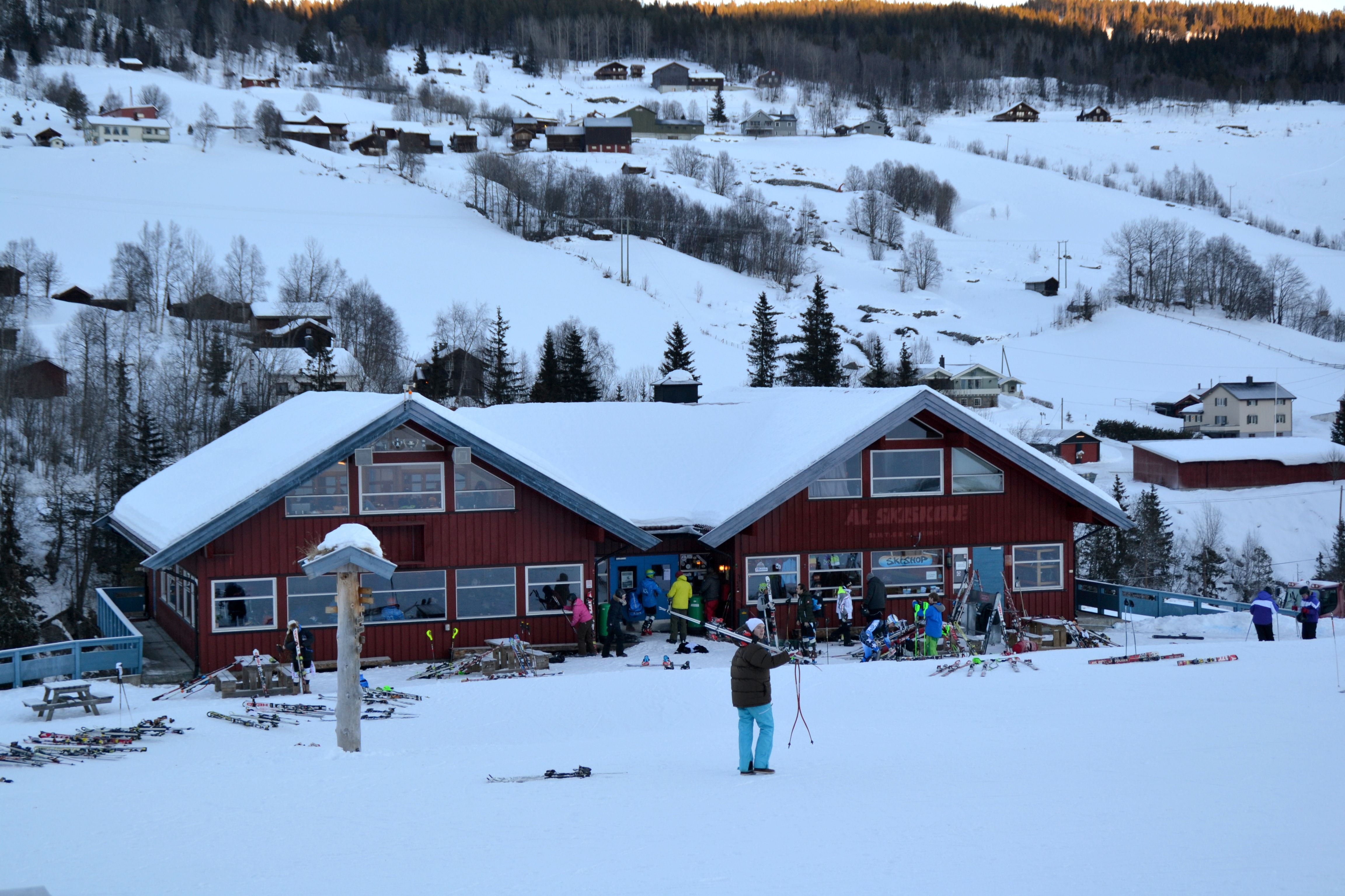 Leilighet Ål skisenter