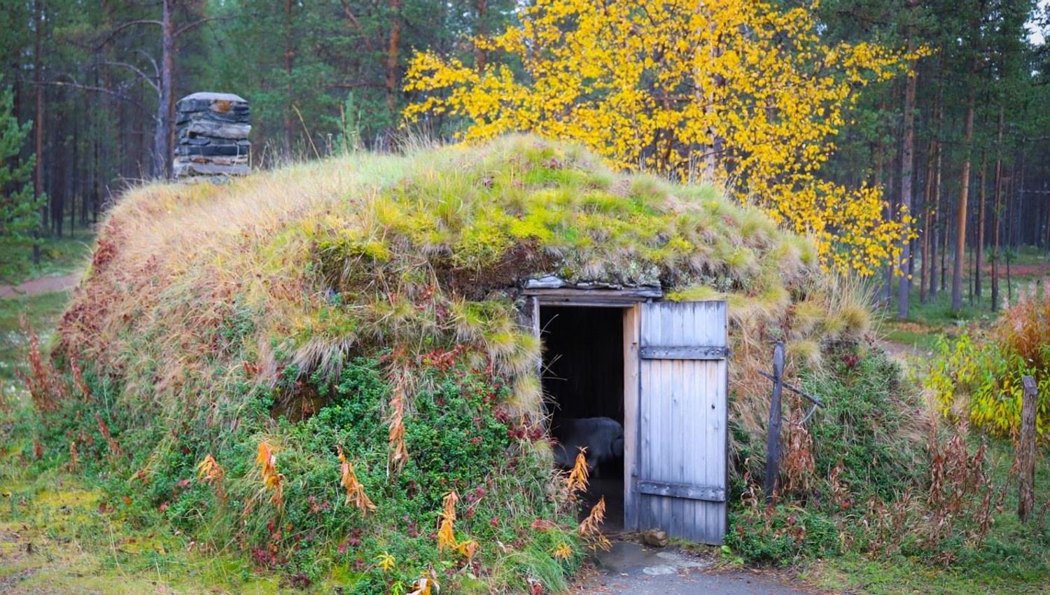 Sparrolavdnjegoahti (torvgamme med taksperre) i friluftsmuseet om høsten. Denne typen torvgamme var en permanent bolig.