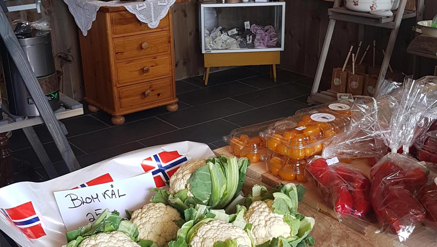 Engøy Gjestegård
