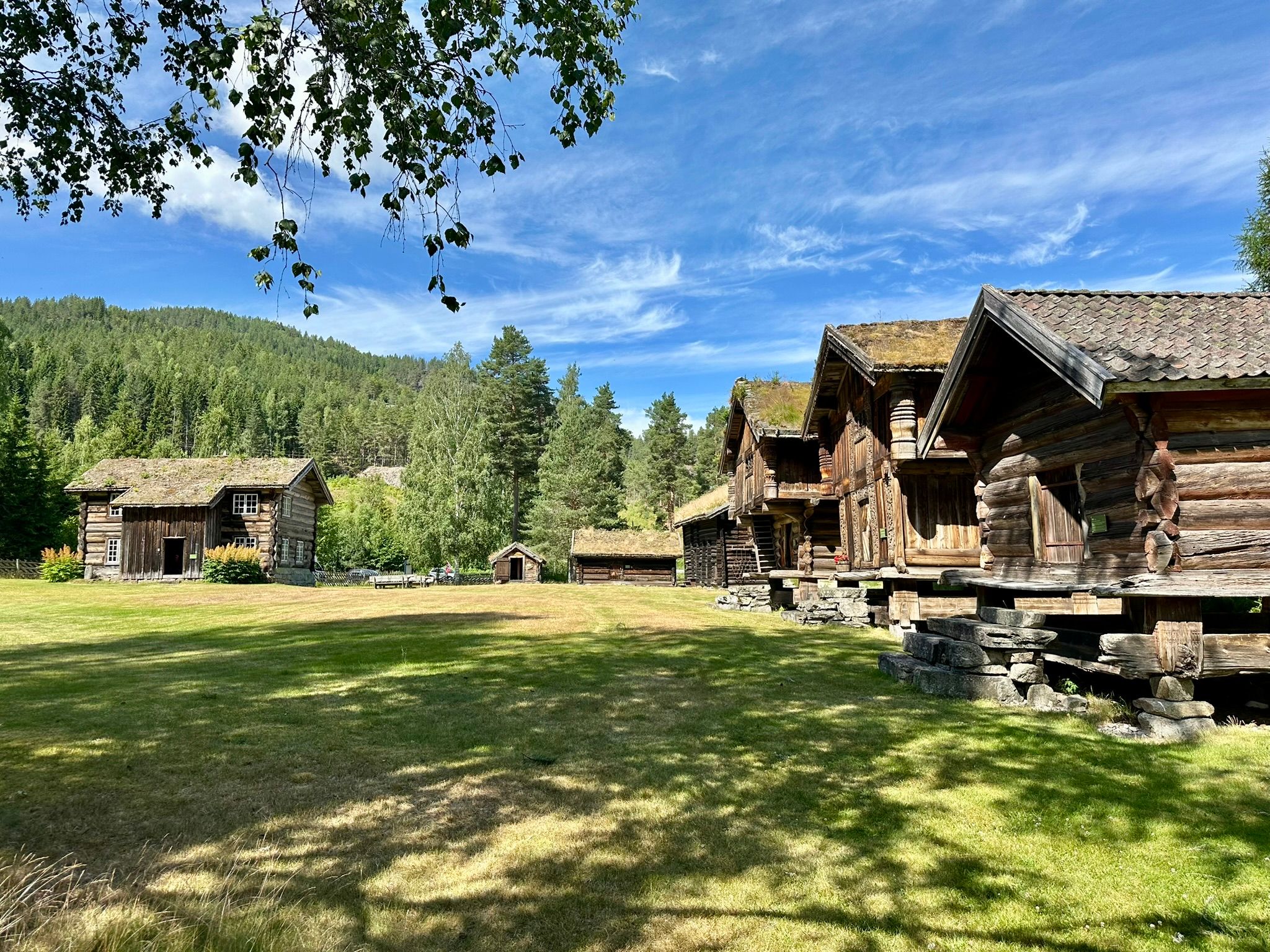 Kviteseid bygdetun sommarstid