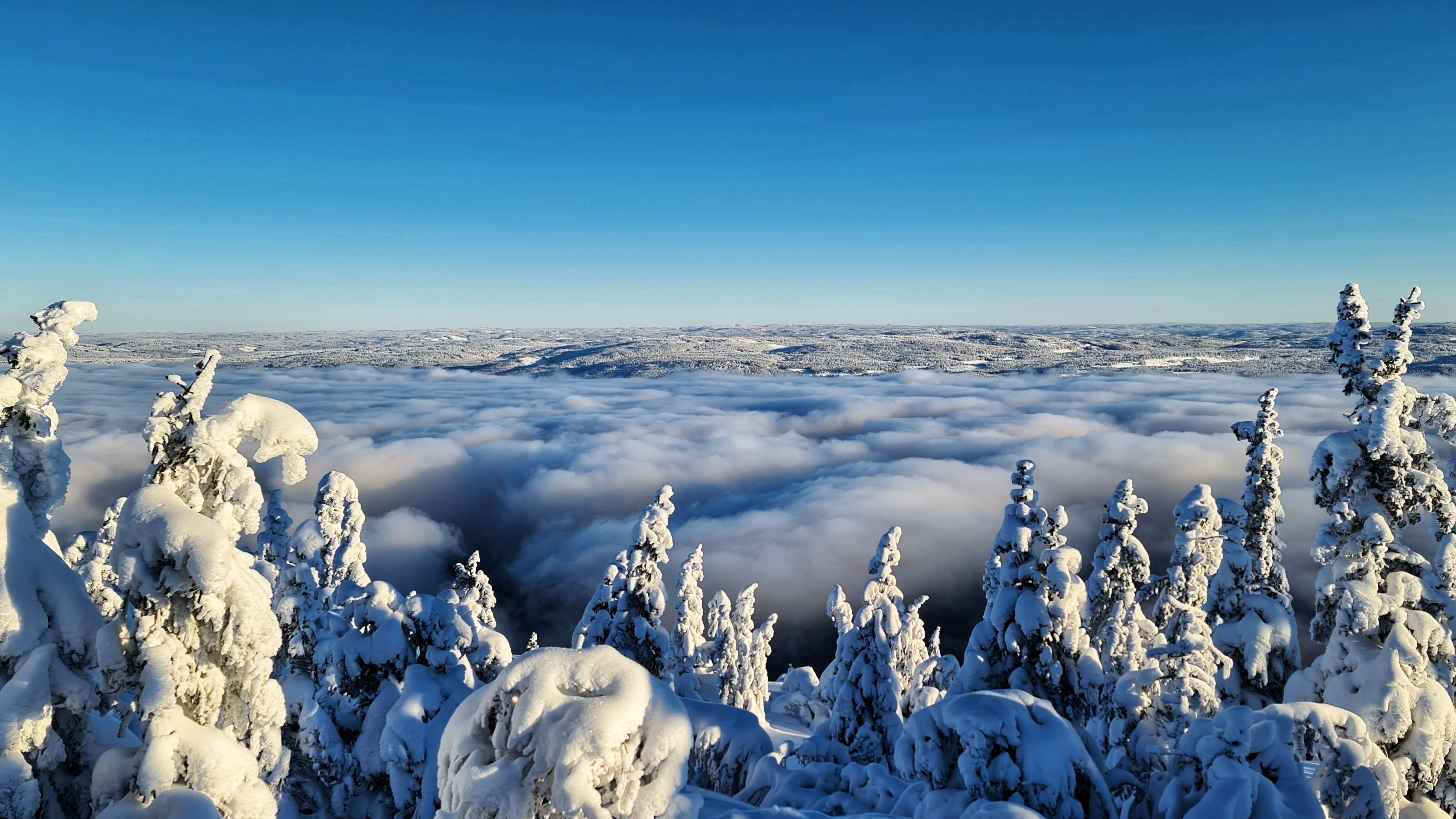Dronegutta Skreikampen