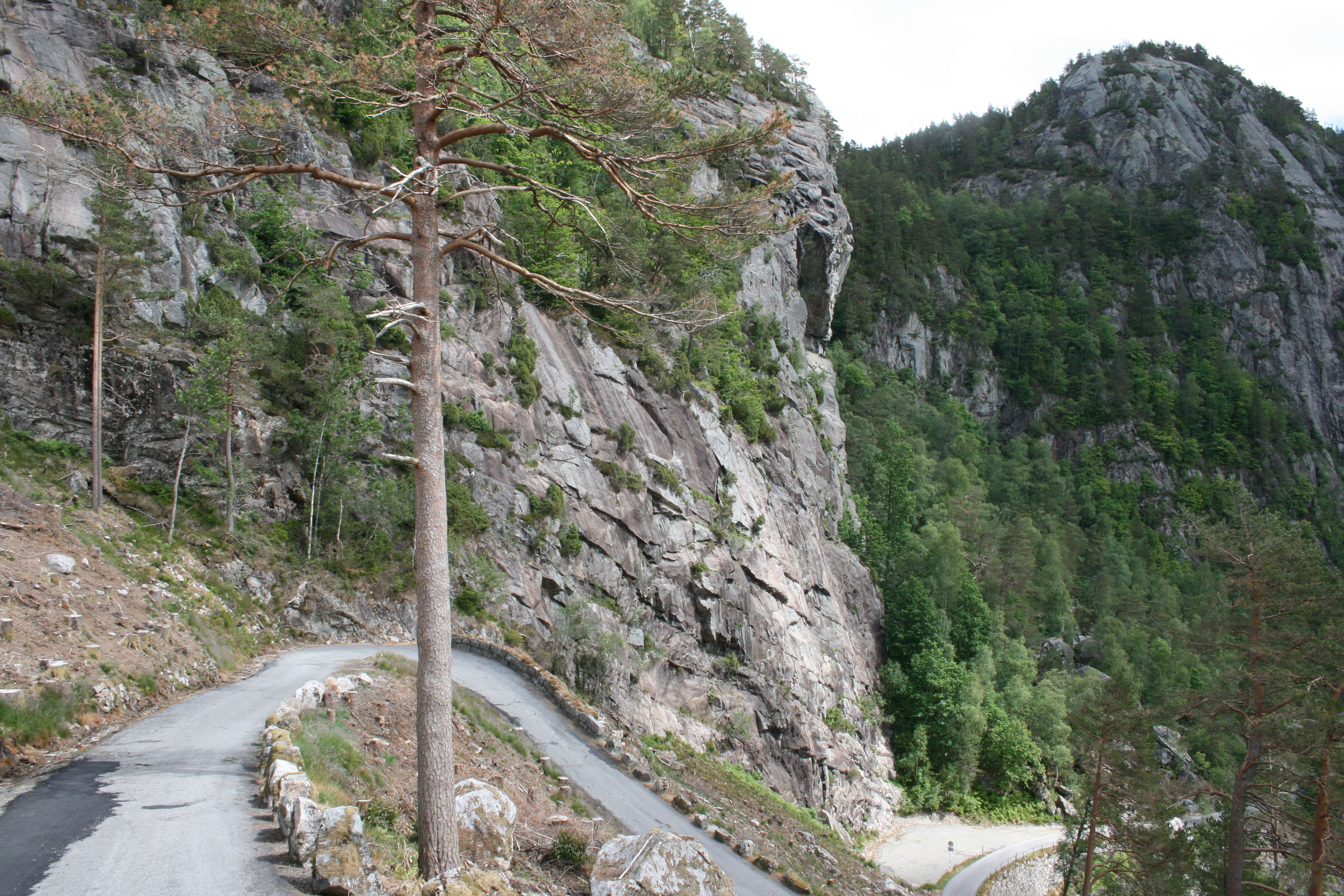 Tronåsen veistrekning
