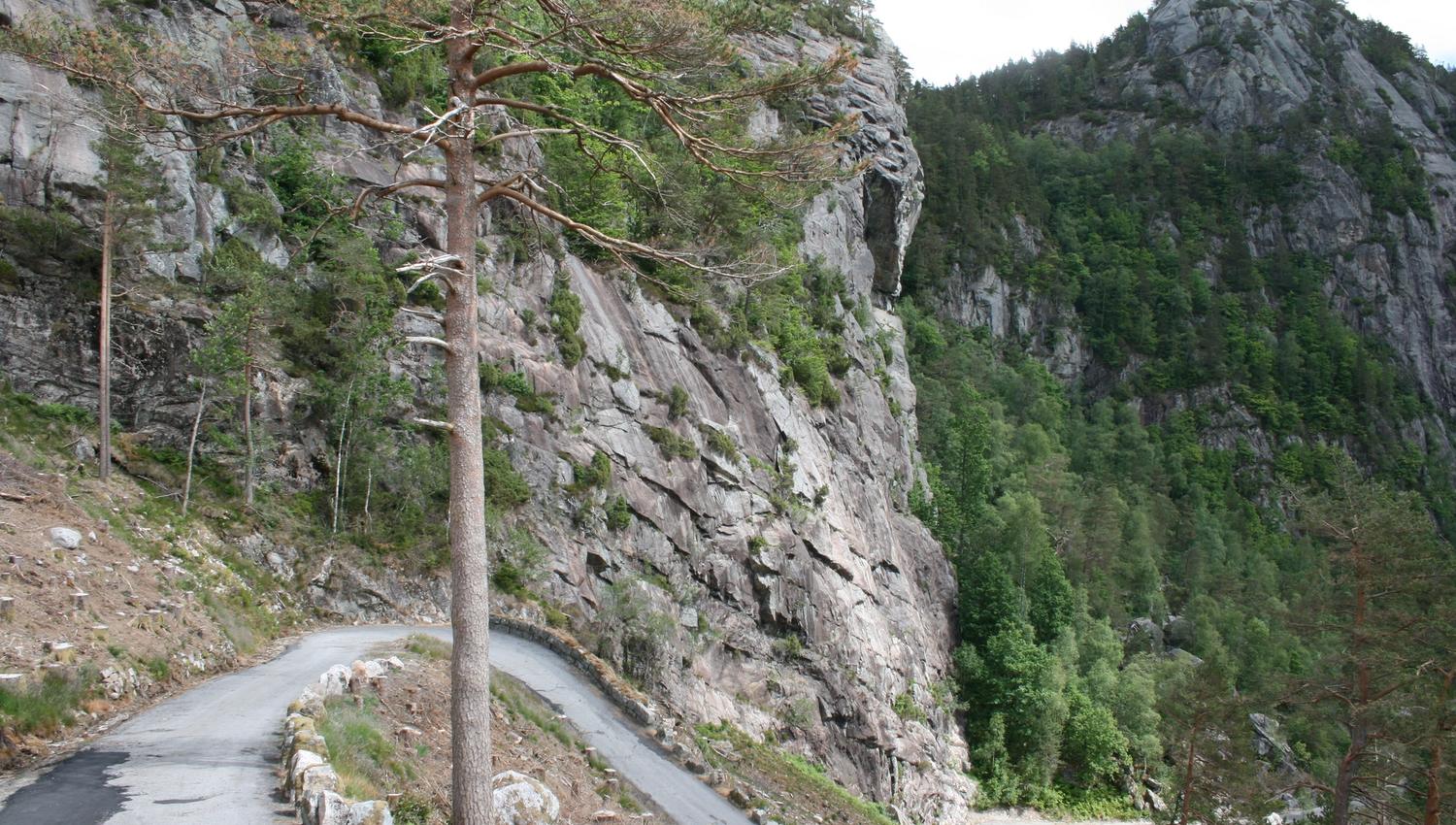 Tronåsen veistrekning