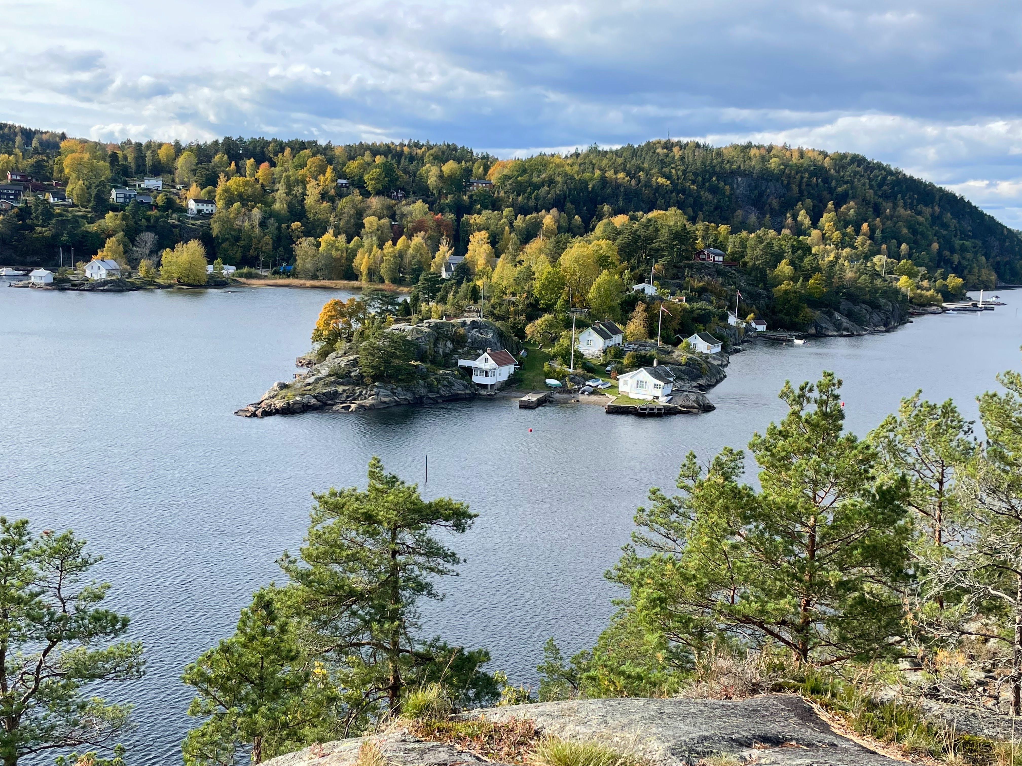 Utsikt til Sandspollen, sjø og skog