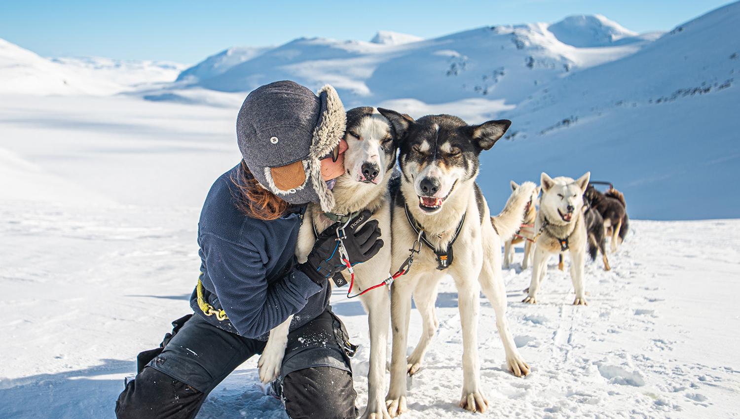 Pause med hundene på fjellet.