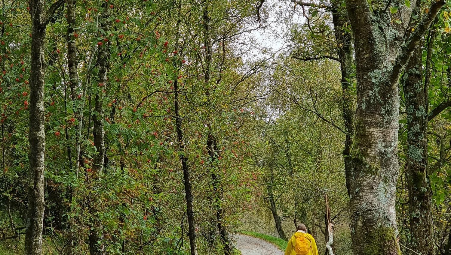 Ullandhaugtårnet