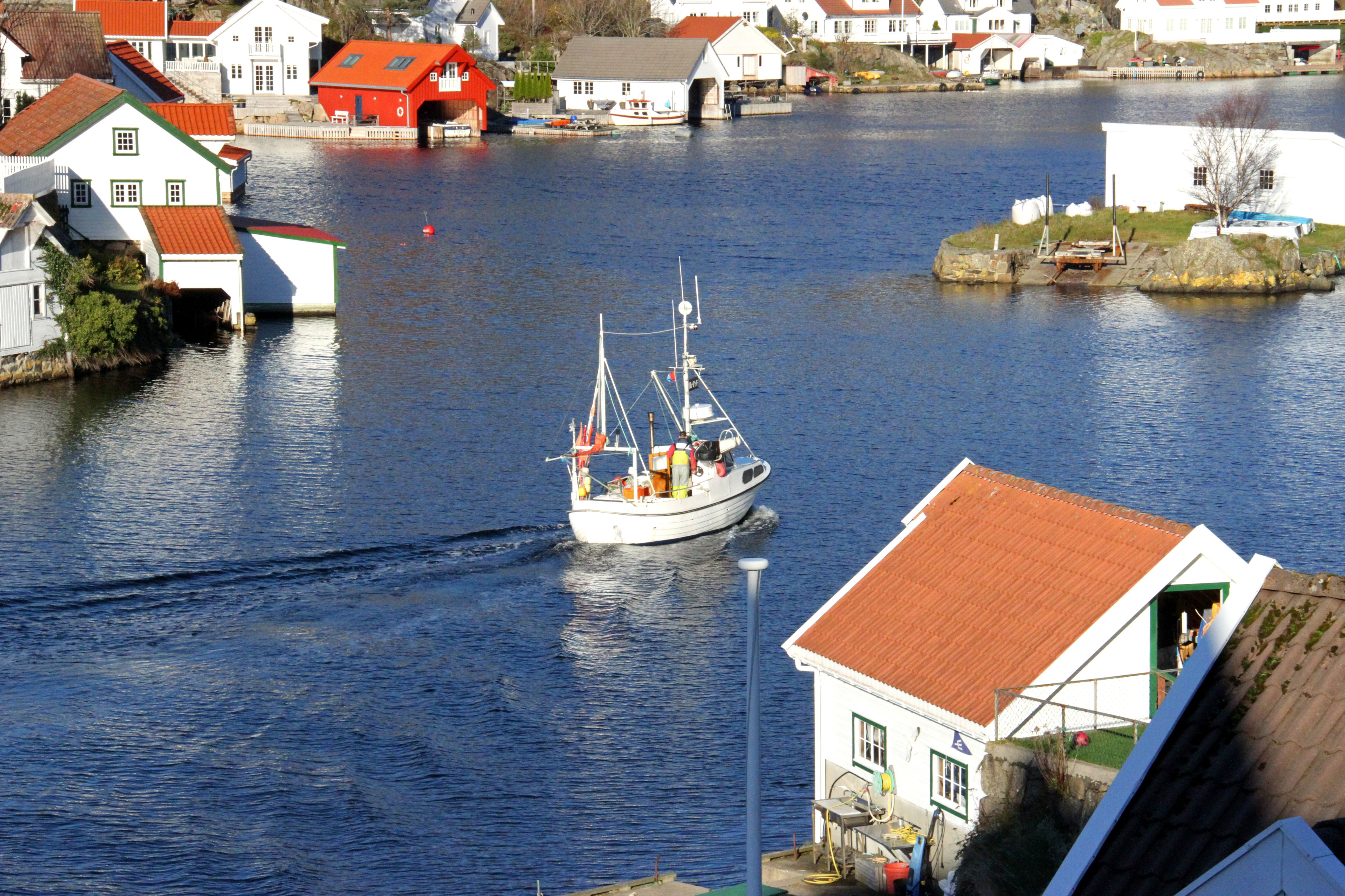 Øya Hidra Utsikt