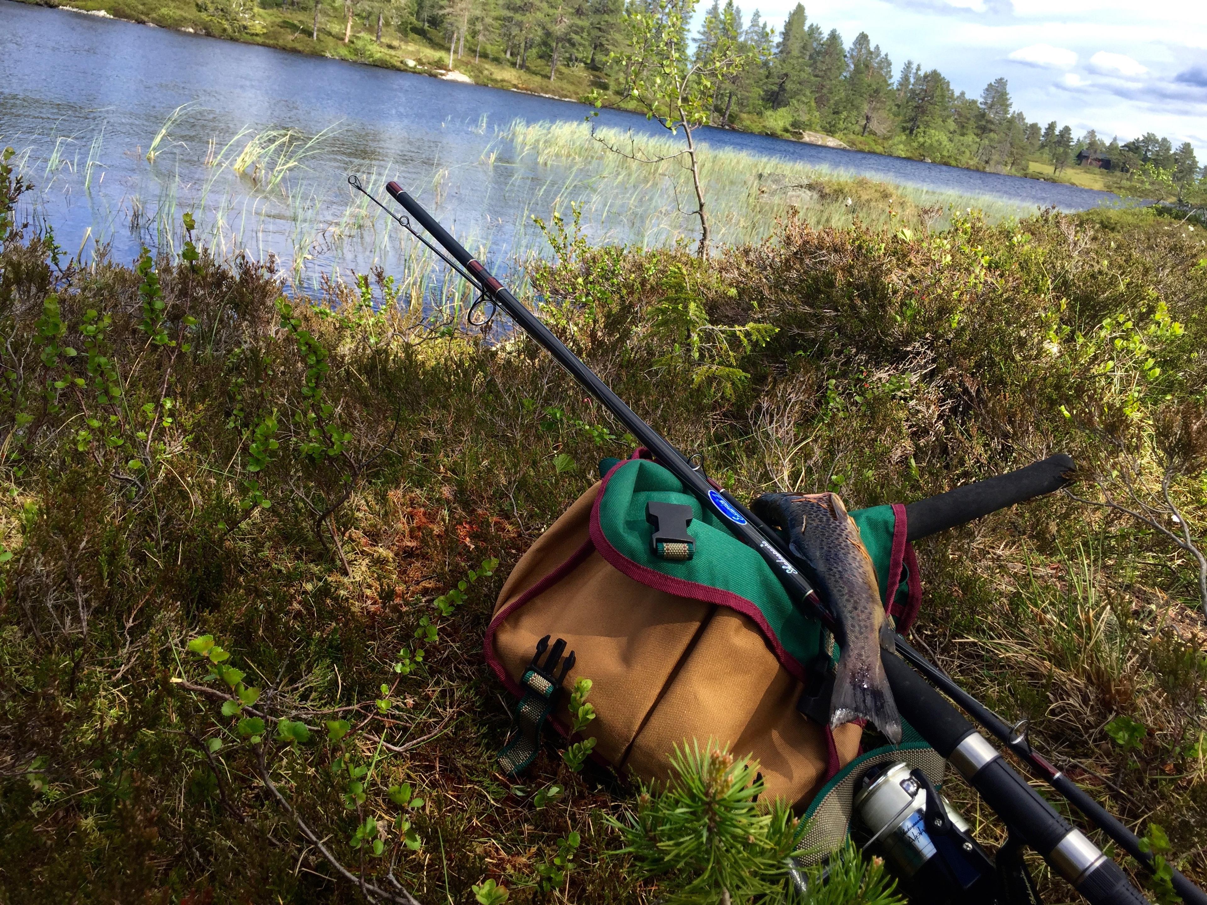 Vikerfjell_TrudeBHauge_1893