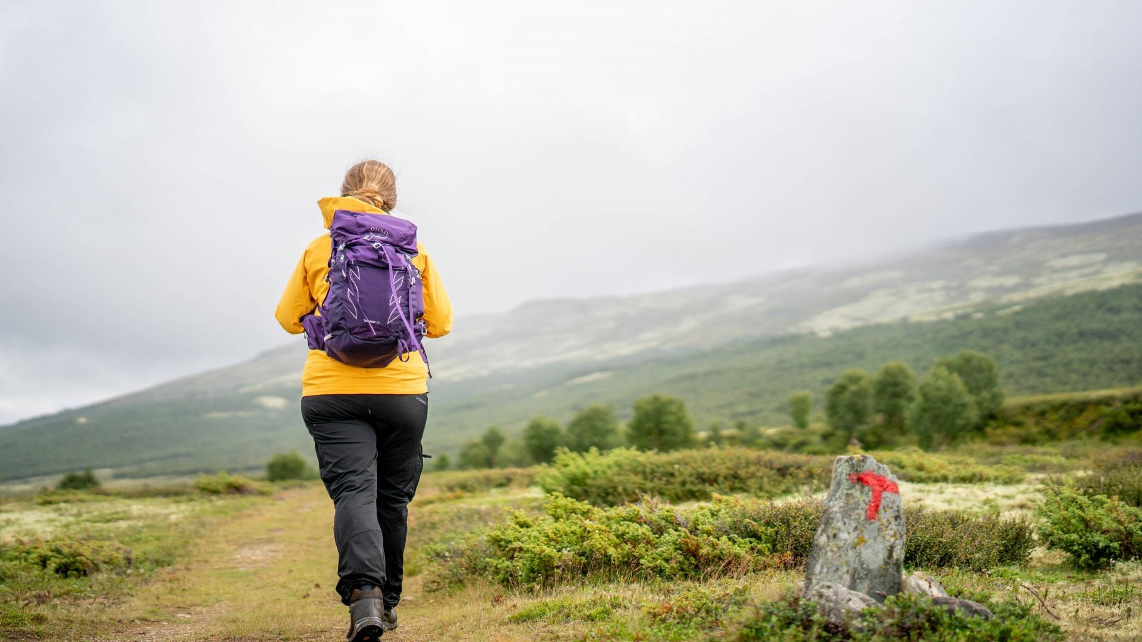 Classic Rondane and Dovre Traverse (8 days)
