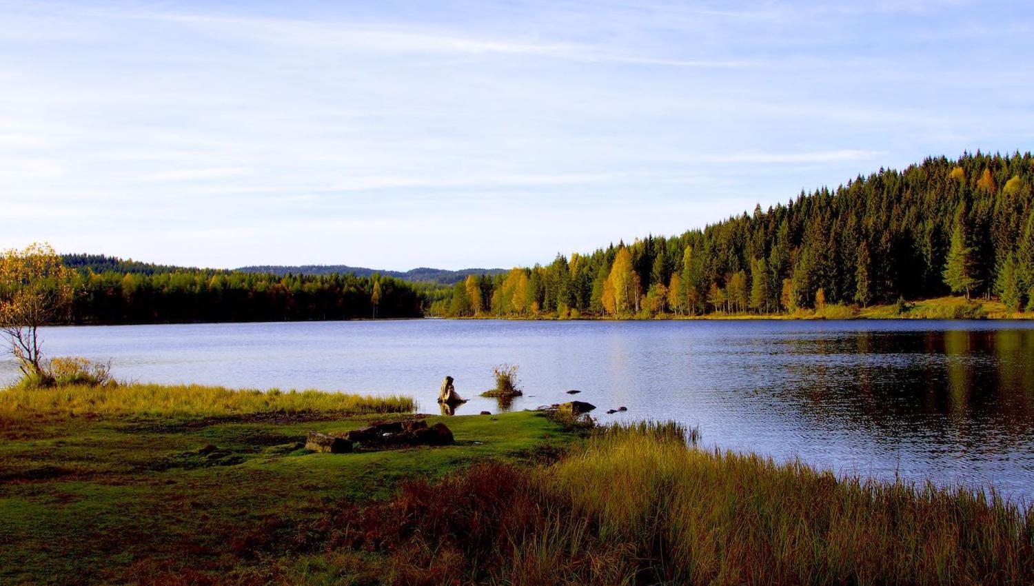 øyungen