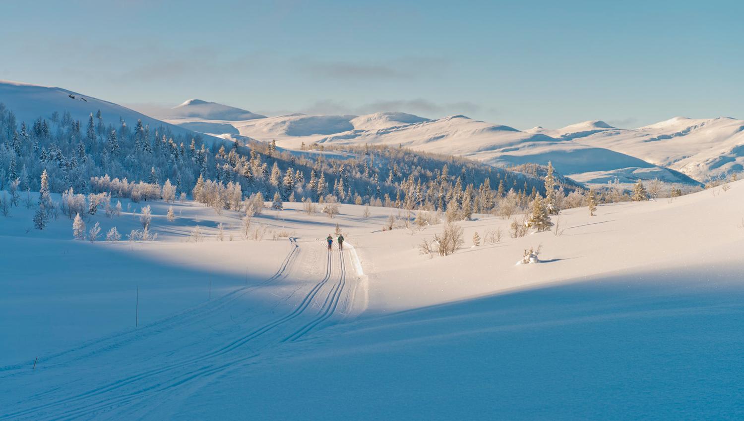 Vinterlys skitur | Spidsbergseter Resort Rondane