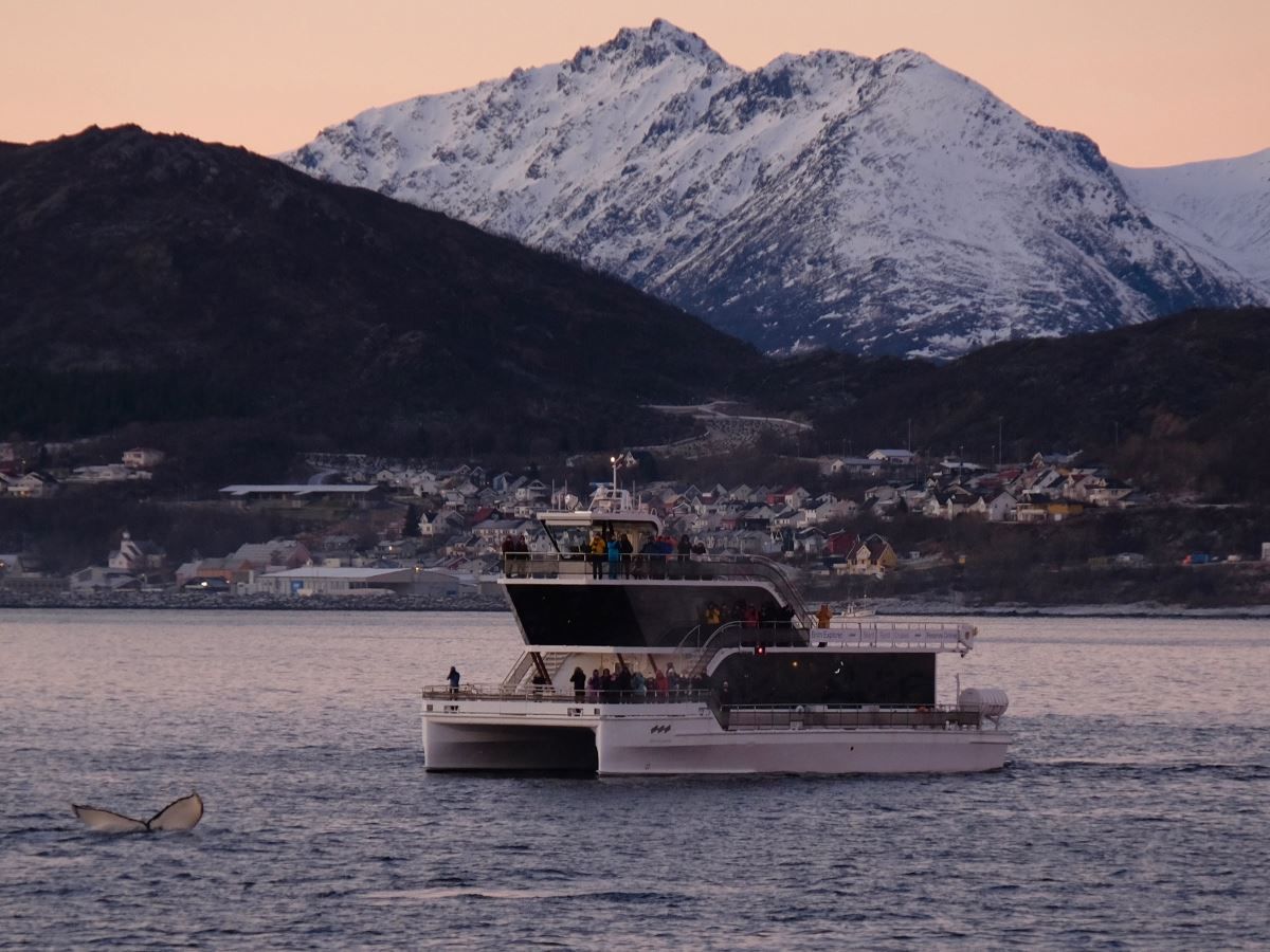 Brim Explorer catamaran