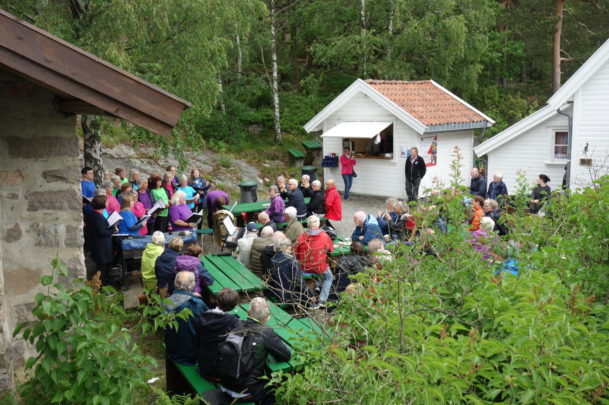 Kafeen på Odderøya