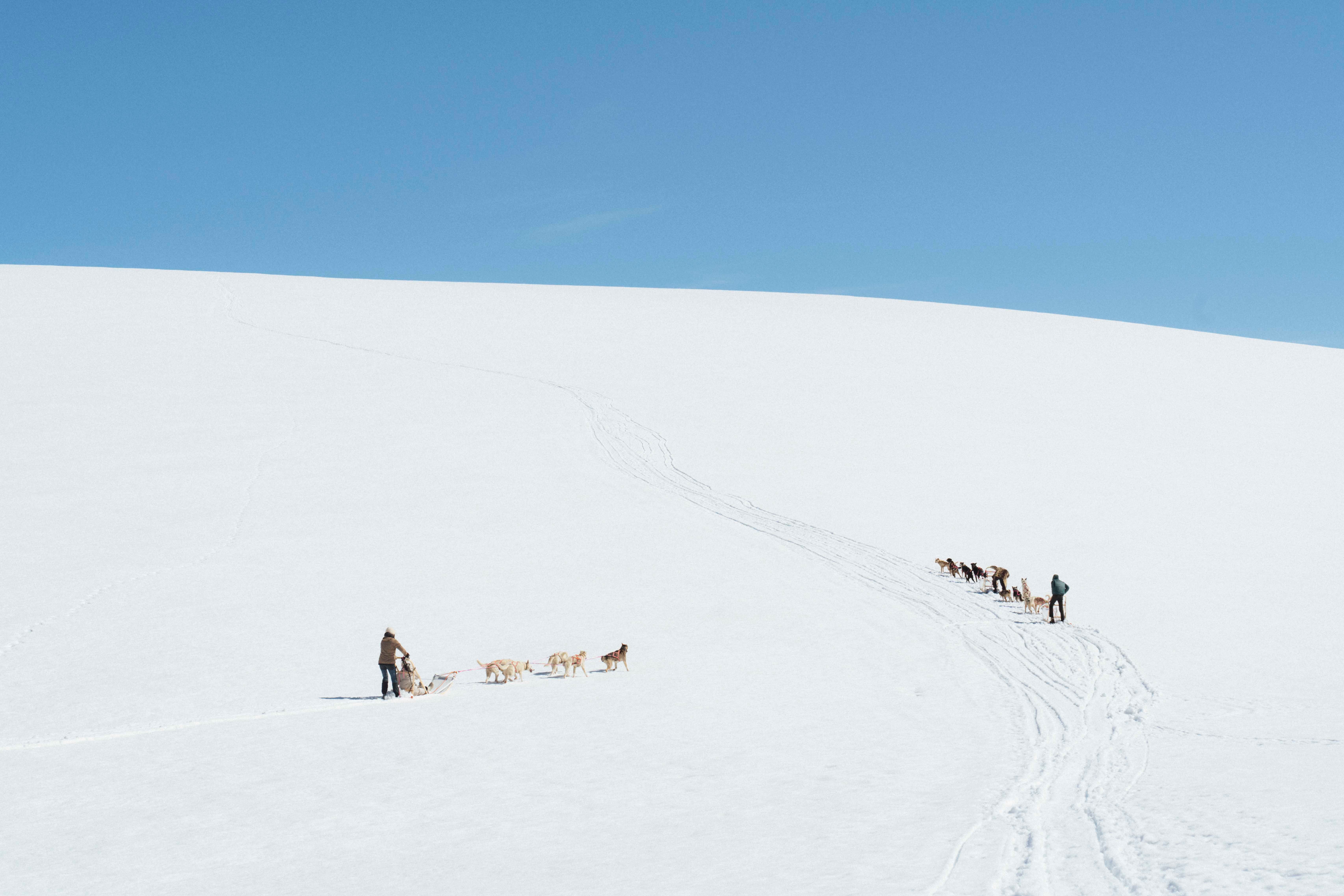 Utsikt over snødekte folgefonna med to hundespann fra folgefonna husky camp det fjerne.