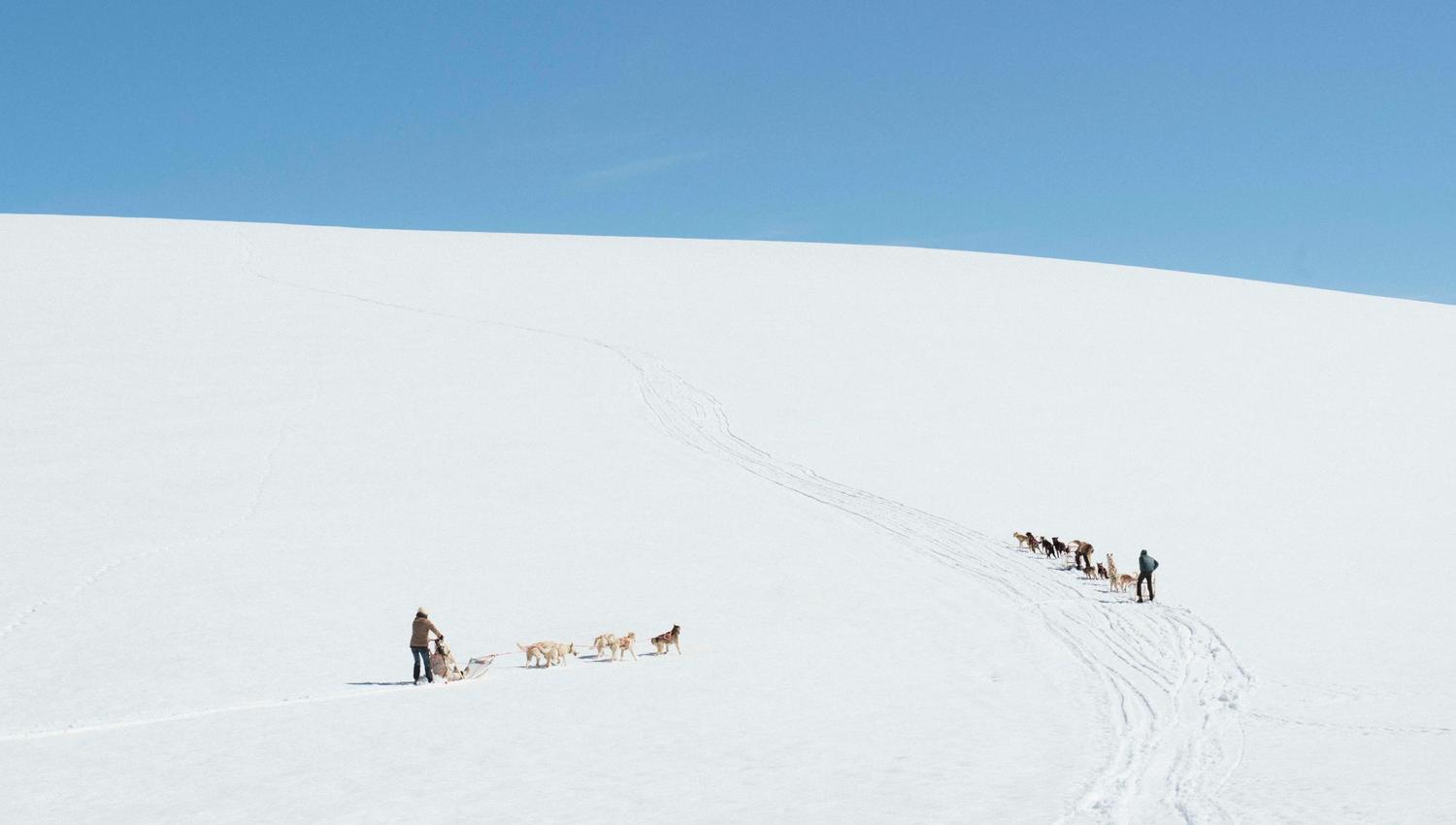 Utsikt over snødekte folgefonna med to hundespann fra folgefonna husky camp det fjerne.