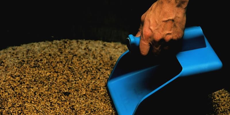 Inderøy Gårdsbryggeri, along the Golden Road - grains