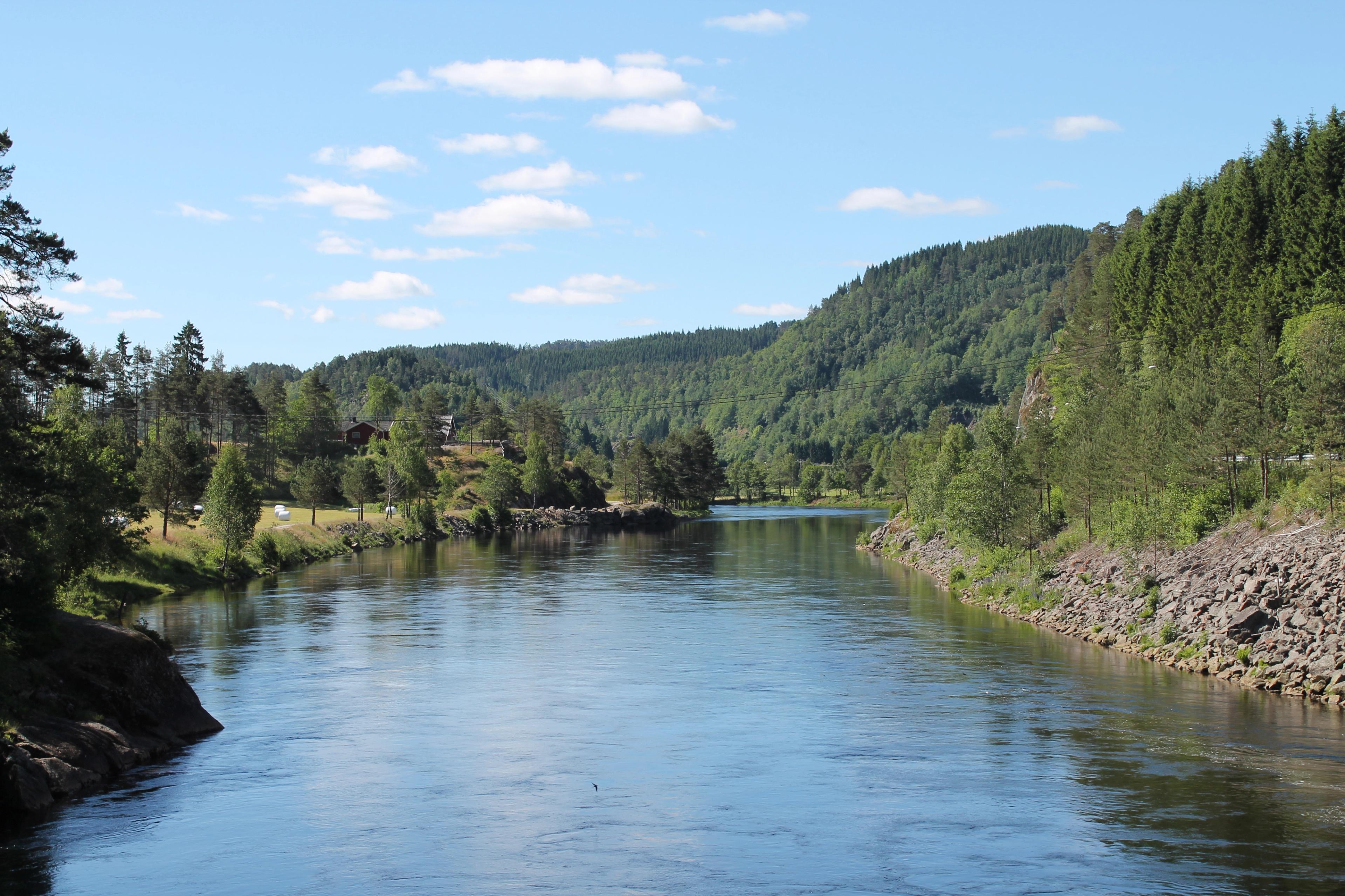 Mandalselva med skog på høyre side og jorde på venstre side
