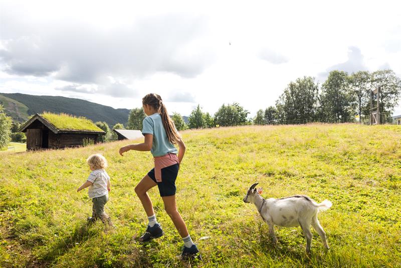 Children at the animal area at Geilojordet escaping from a goat. 