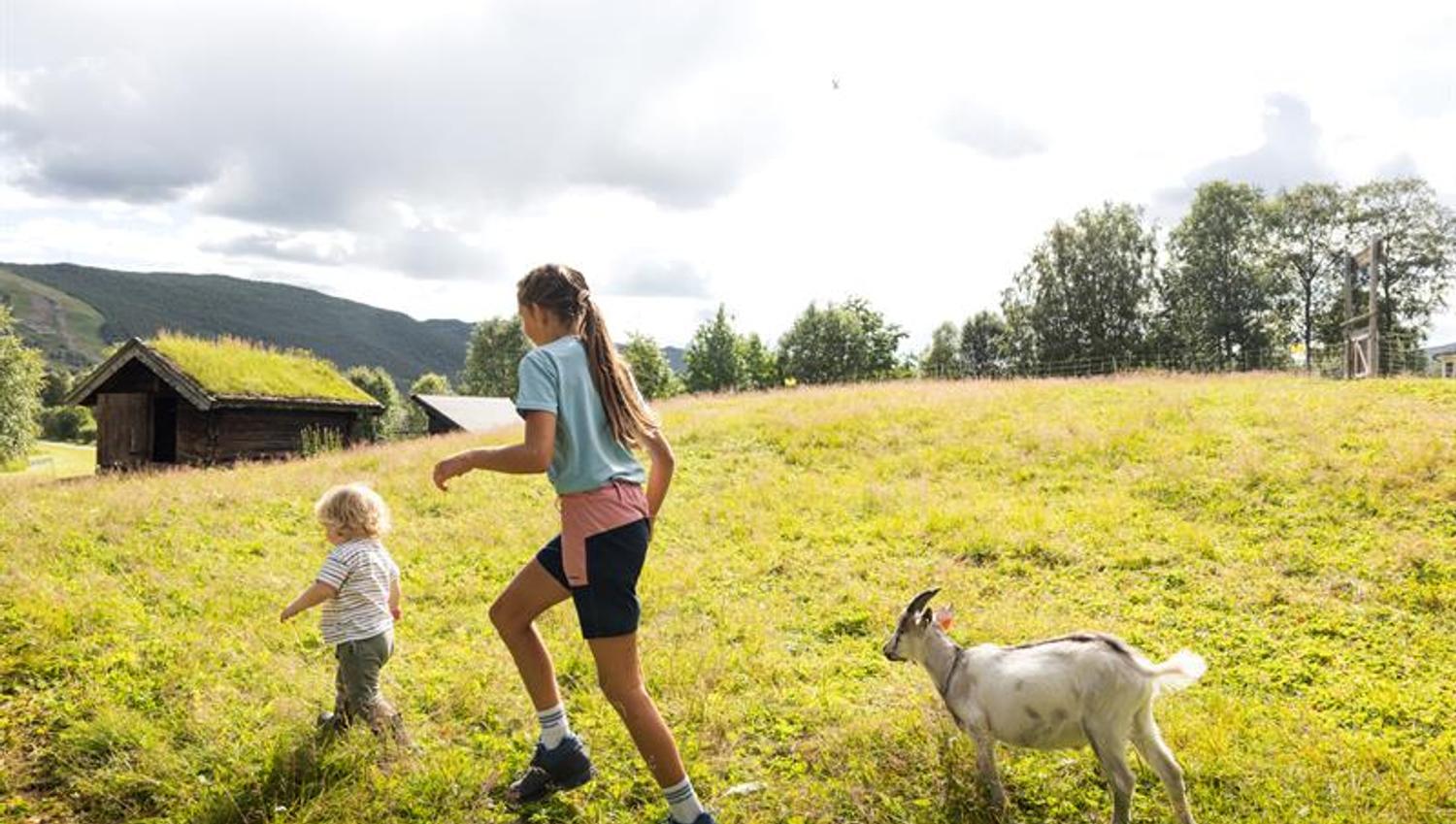 Children at the animal area at Geilojordet escaping from a goat.