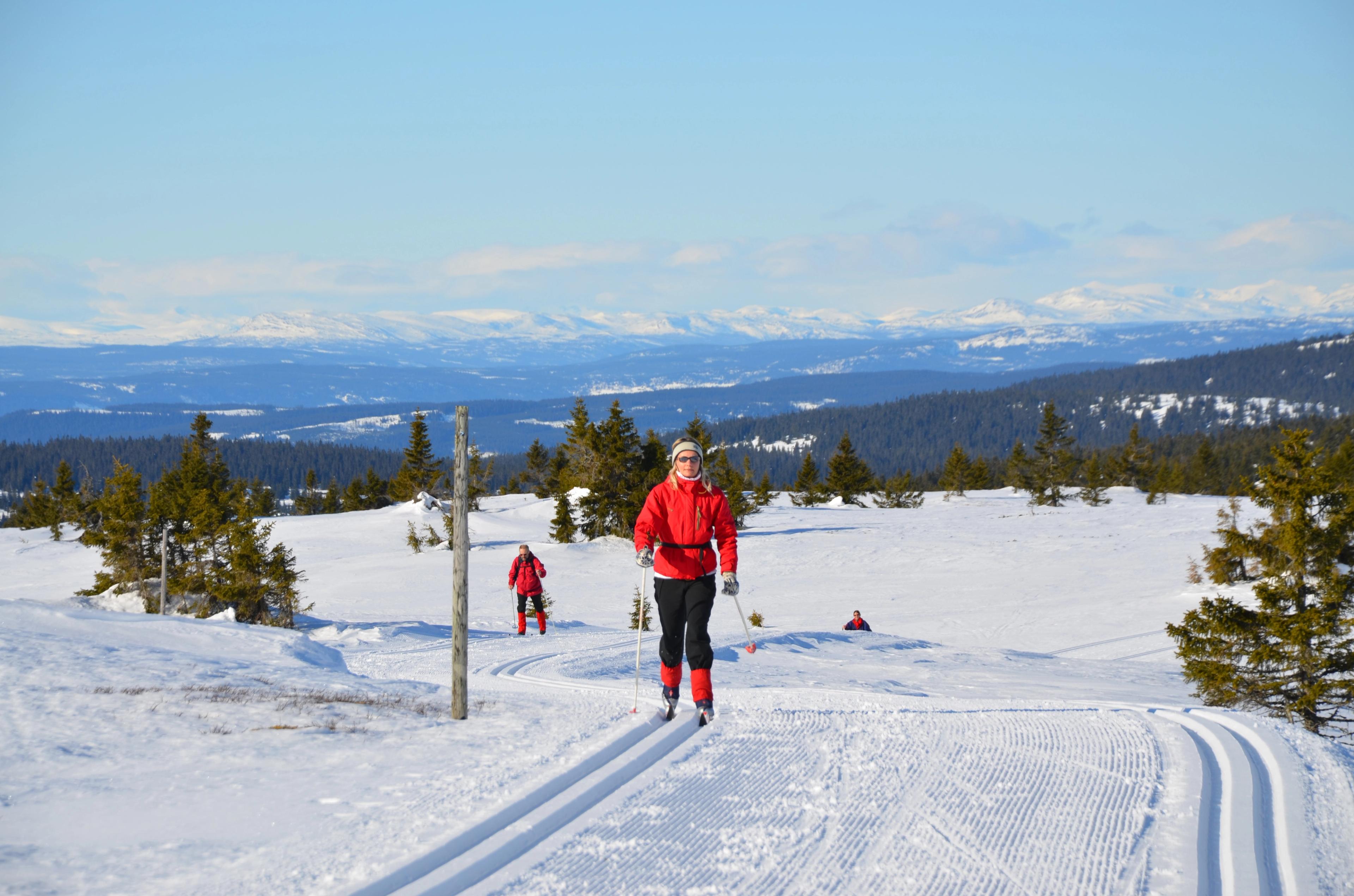 På skitur i langrennsløypene på Nordseter