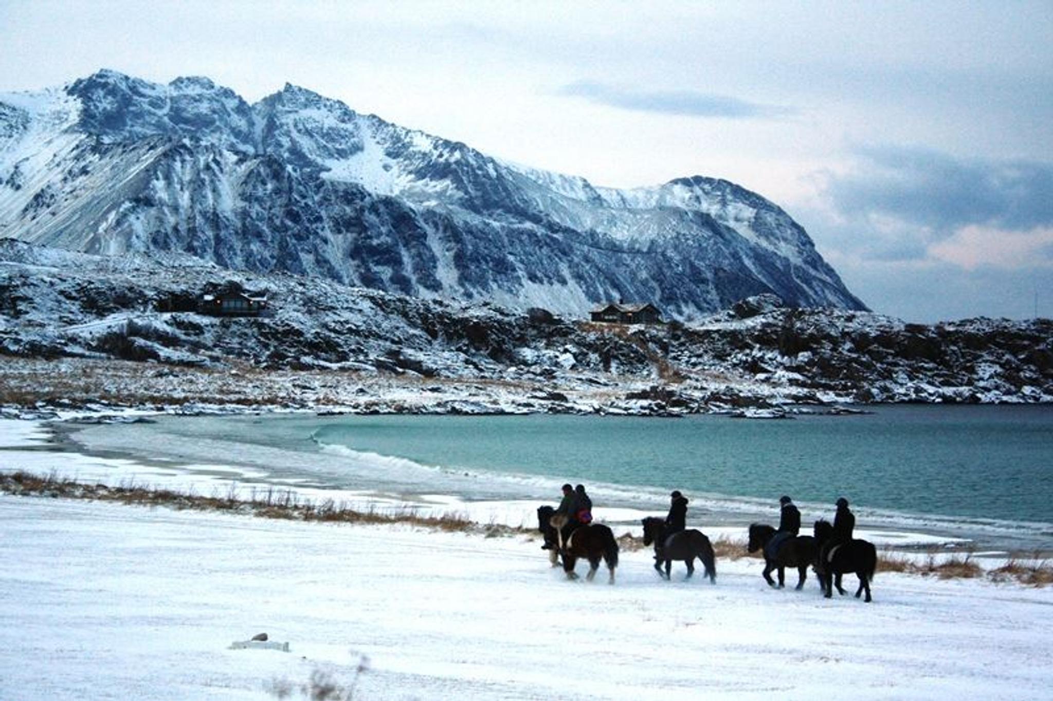 Halvdagstur til Vinjestranda - Turridning på Islandshest i Lofoten 
