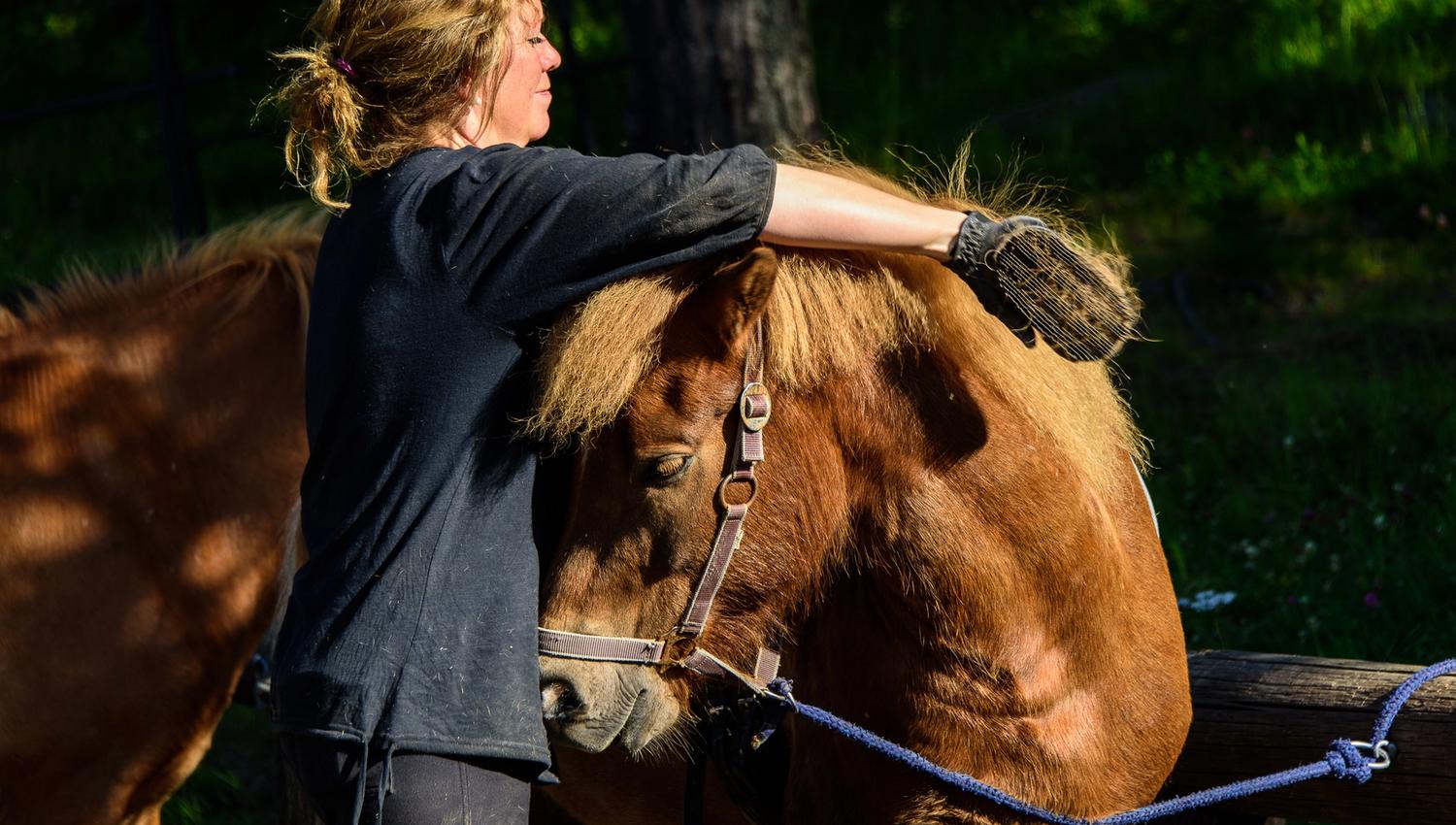 _IB80990-IanBrodie-VisitLillehammer
