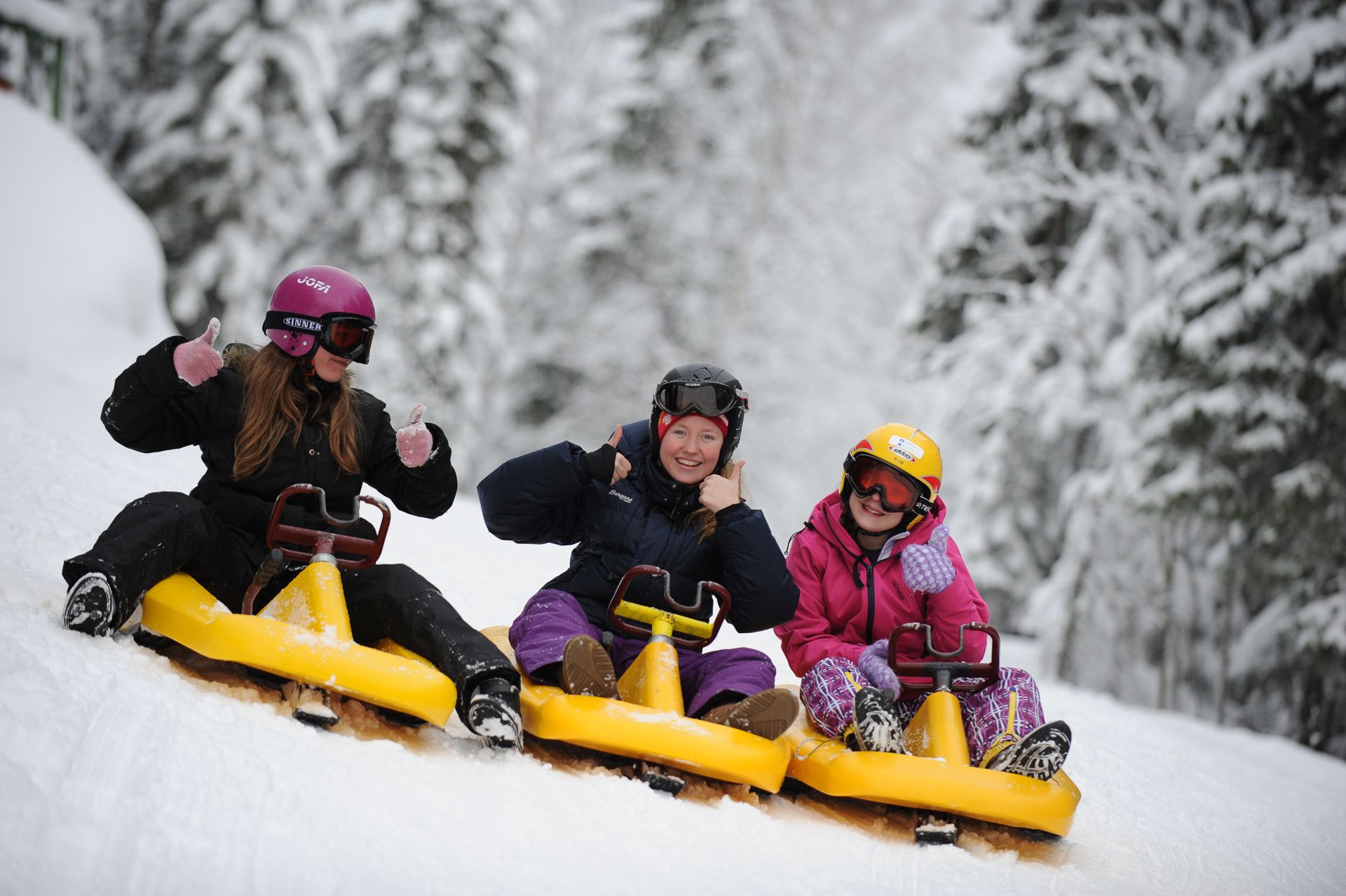 Kjelkekjøring i Kanthaugen Lillehammer