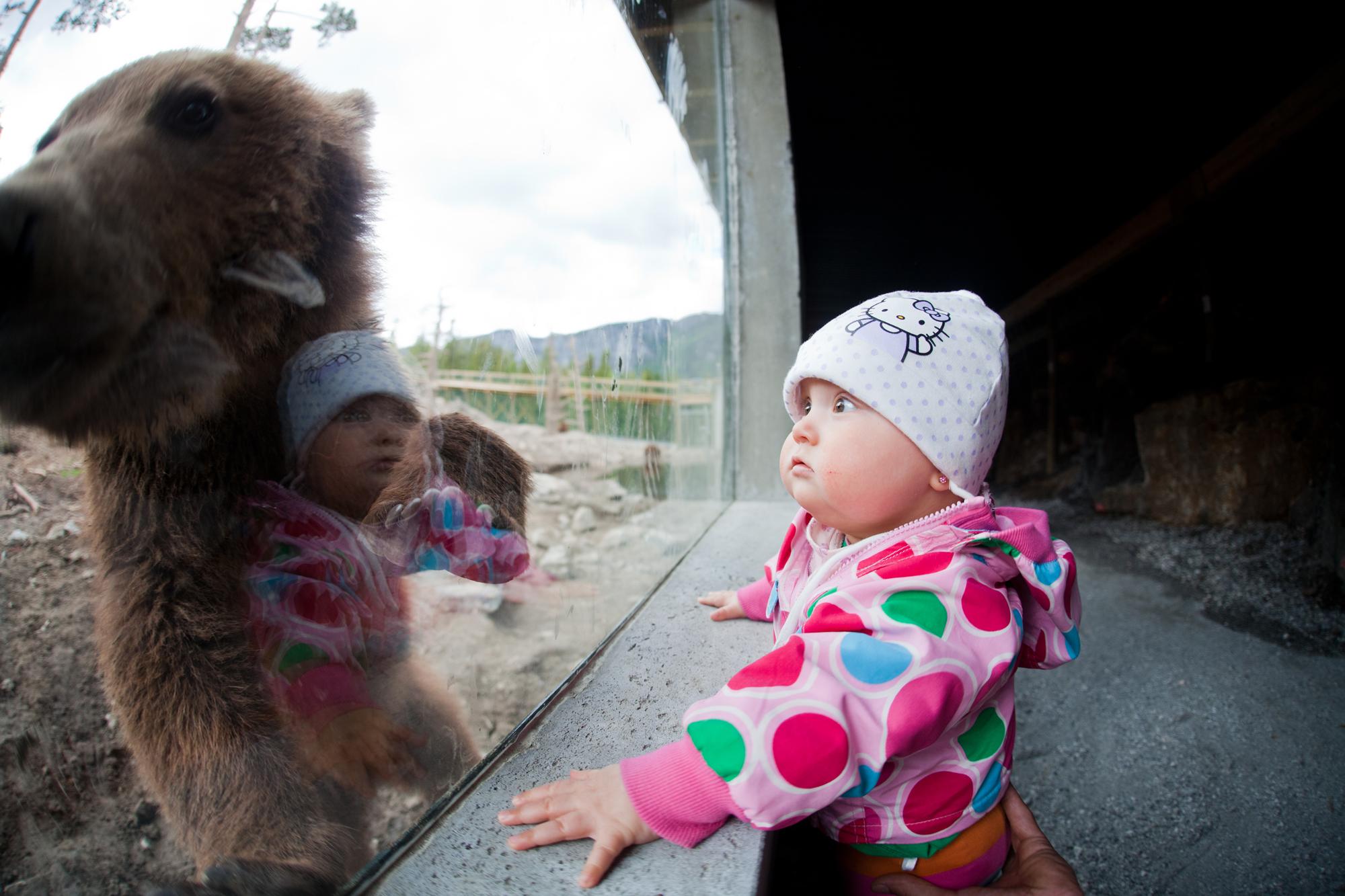 Bjørn og et lite barn
