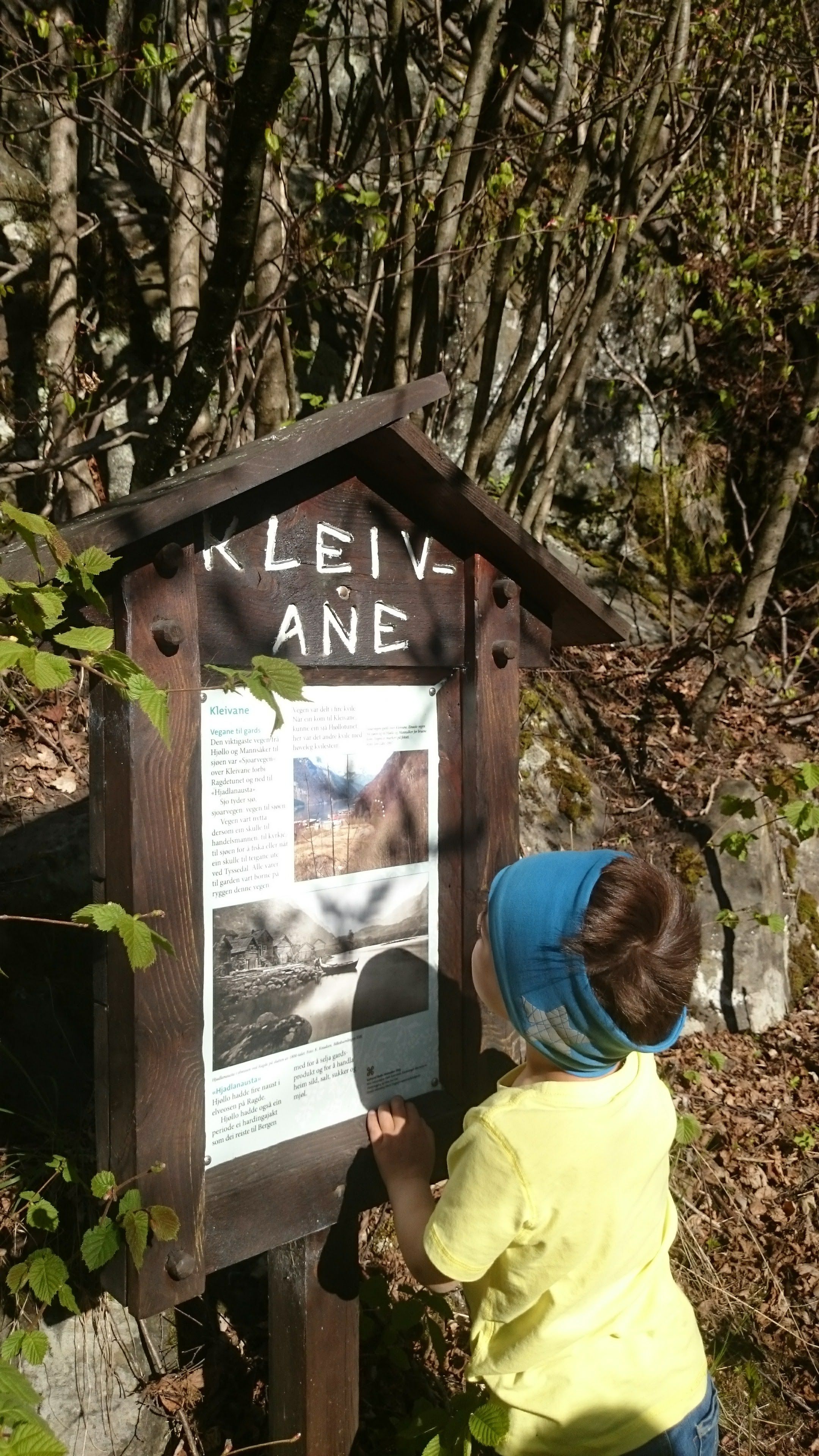 Barn som les informasjonstavla “Kleivane” på kulturstien Hjøllo–Mannsåker i Hardanger.