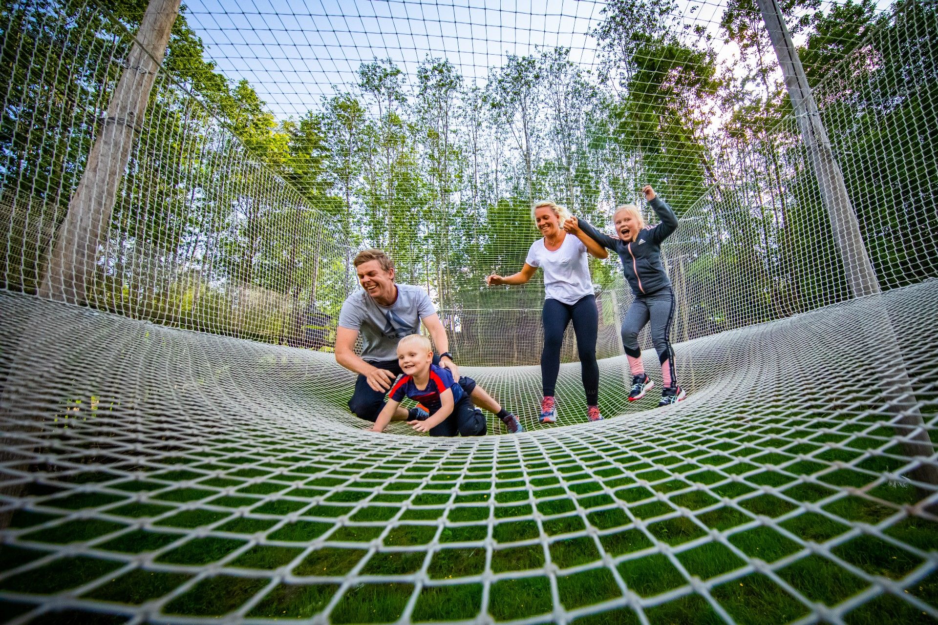 En familie på fire hopper i et nett.