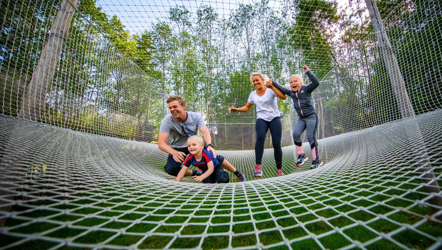 En familie på fire hopper i et nett.
