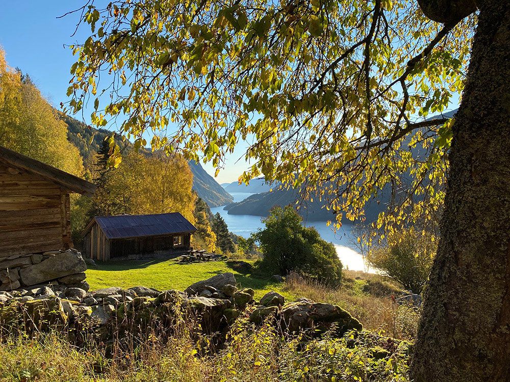 The Rui square in autumn