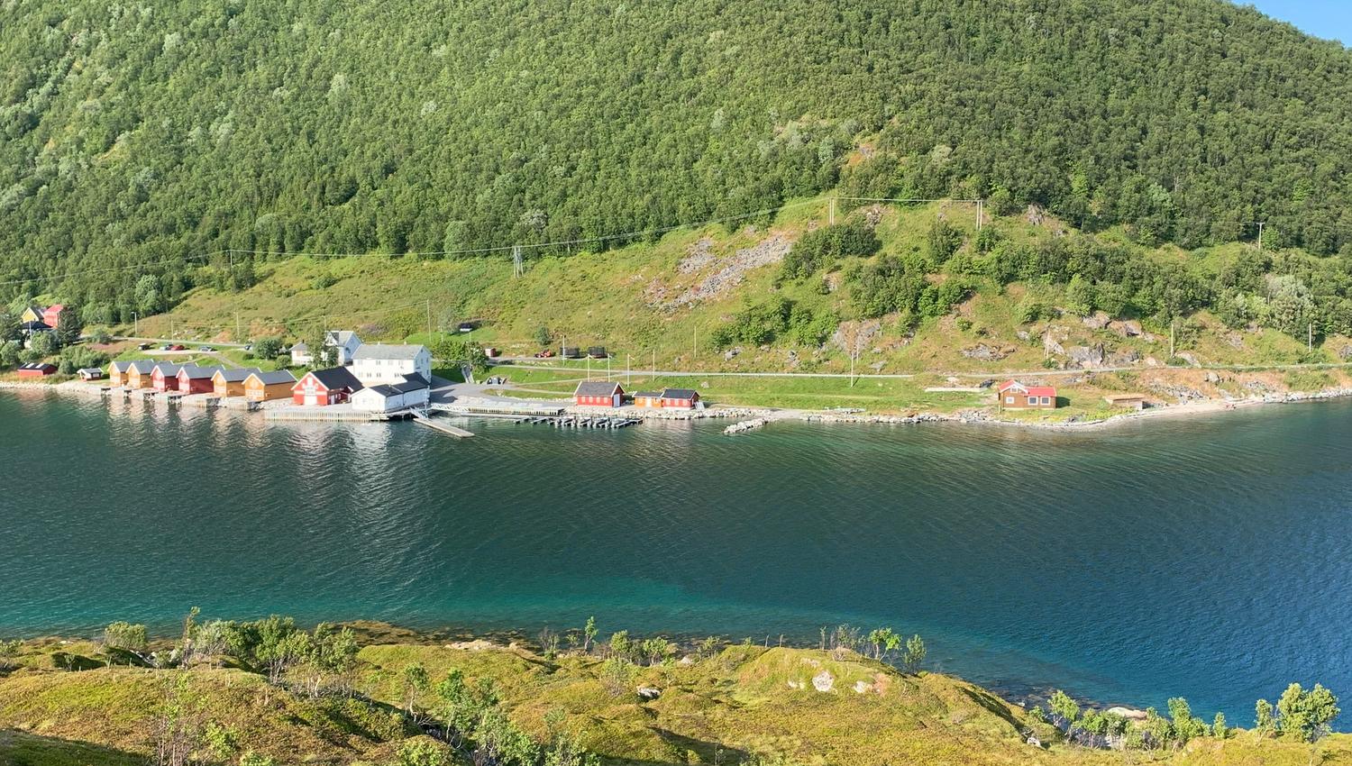Lauklines in summer