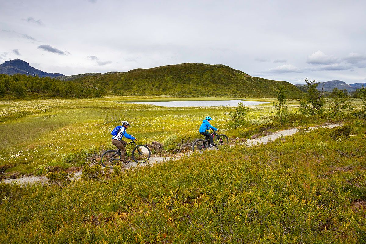 To terrengsyklister på tilrettelagt sykkelsti på fjellet.