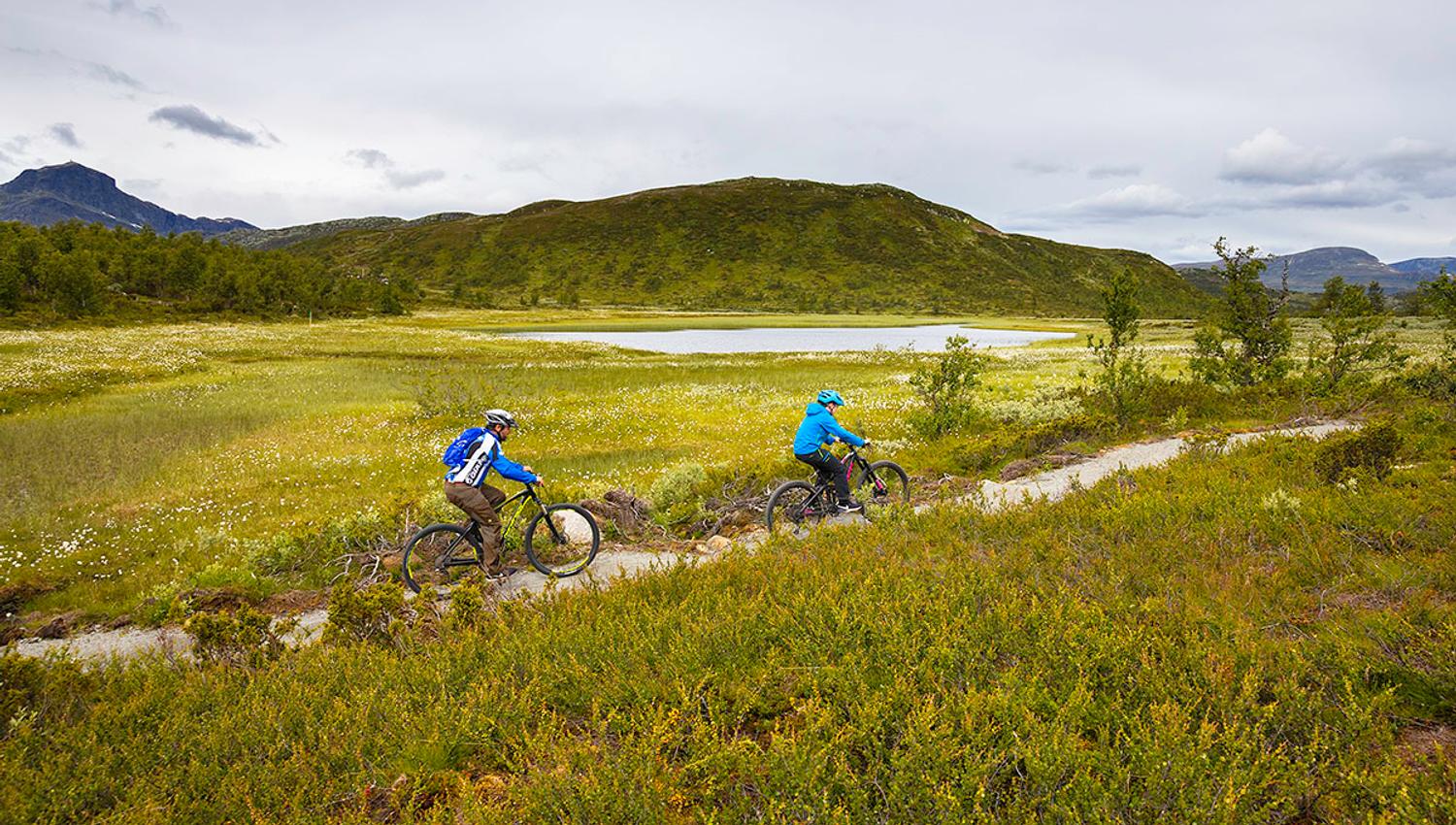 To terrengsyklister på tilrettelagt sykkelsti på fjellet.
