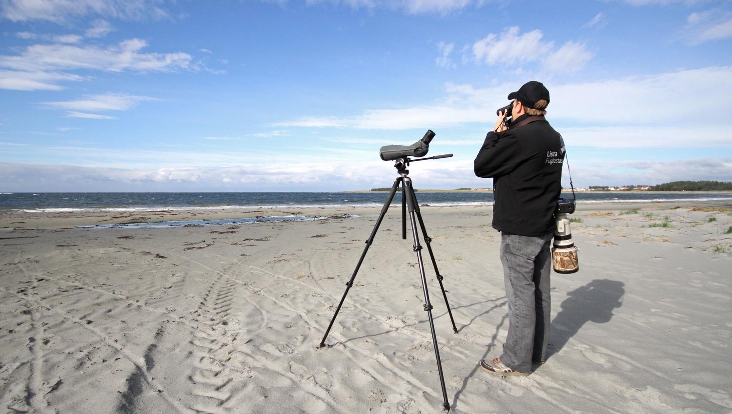 Bird watching Lista