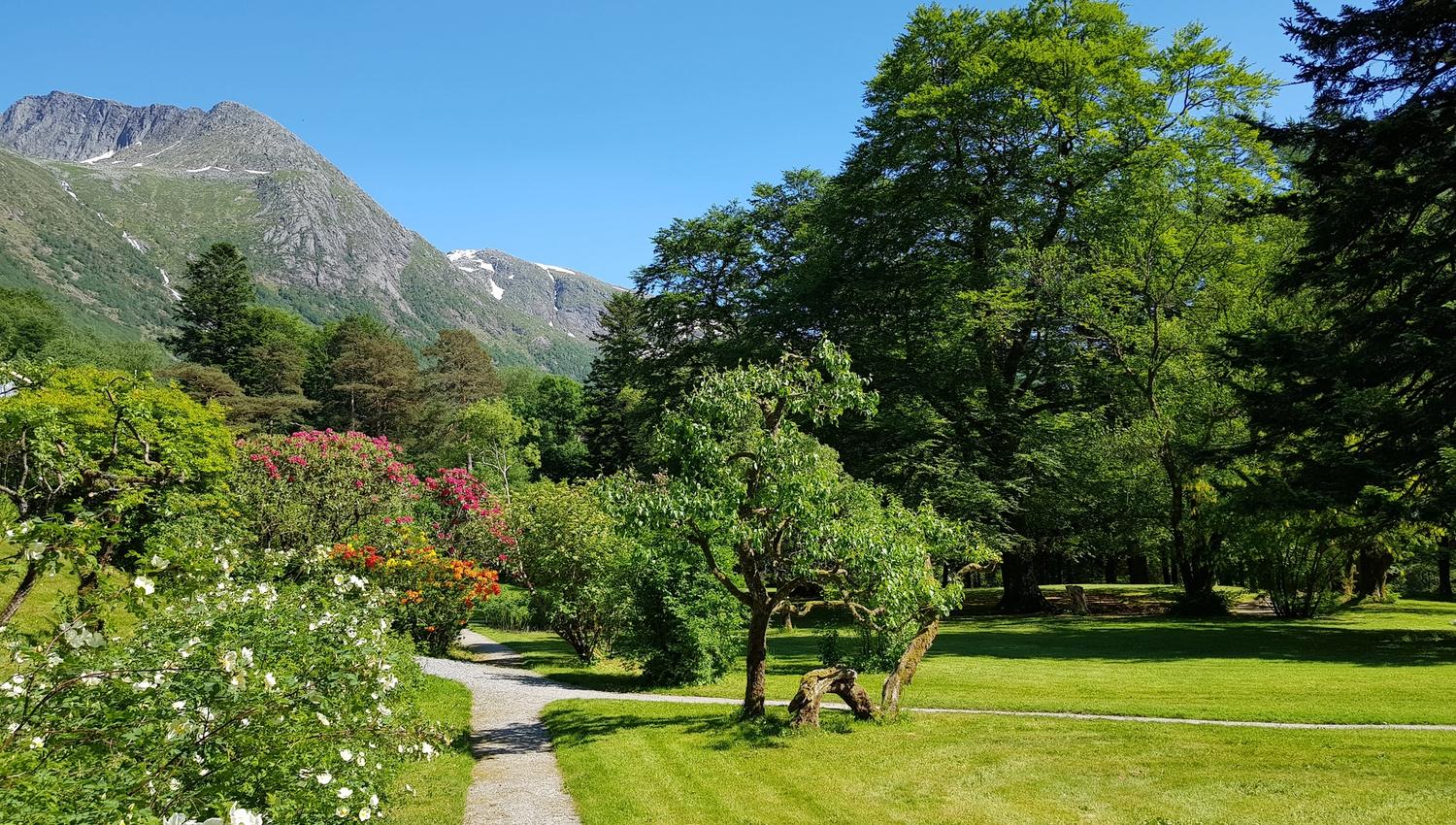 Sti gjennom hagen ved Baroniet Rosendal med fjell i bakgrunnen.