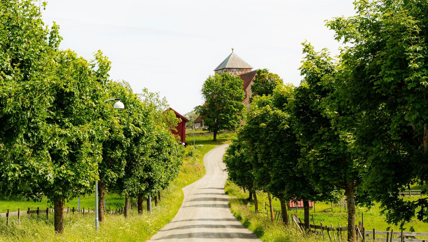 Søsterkirkene på Granavollen på Hadeland. Nikolaikirken sett fra alleen ved Steinhuset