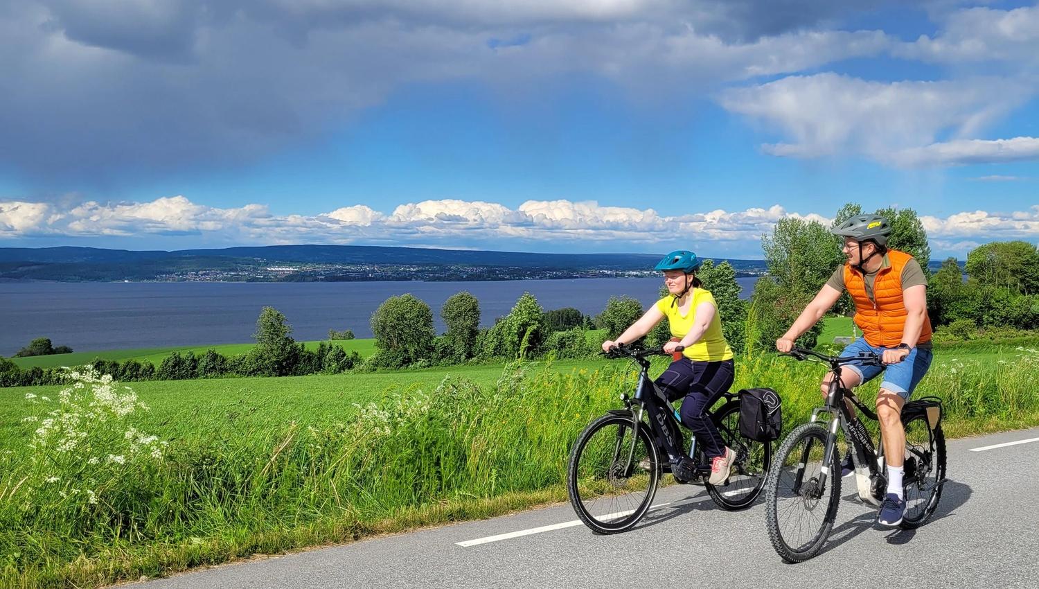 El-sykkel utleie på Nes og Helgøya.