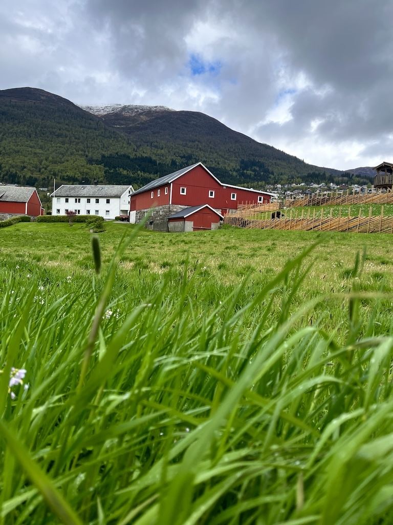 Grønt gras i forgrunnen med raud løe og kvite bygningar ved foten av skogkledde fjell under skyer..