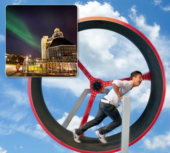 Running on a running wheel