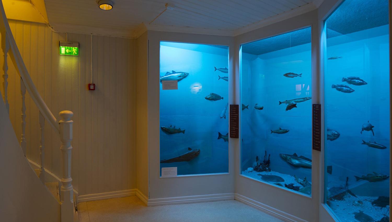 Bymuseet i Bodø