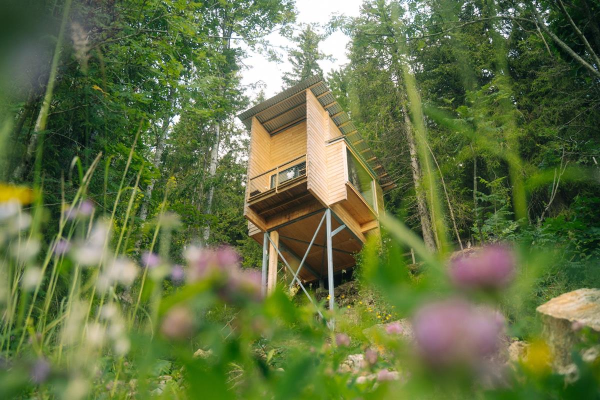 Wooden cabin on tall stilts surrounded by dense forest, with flowers in the foreground.