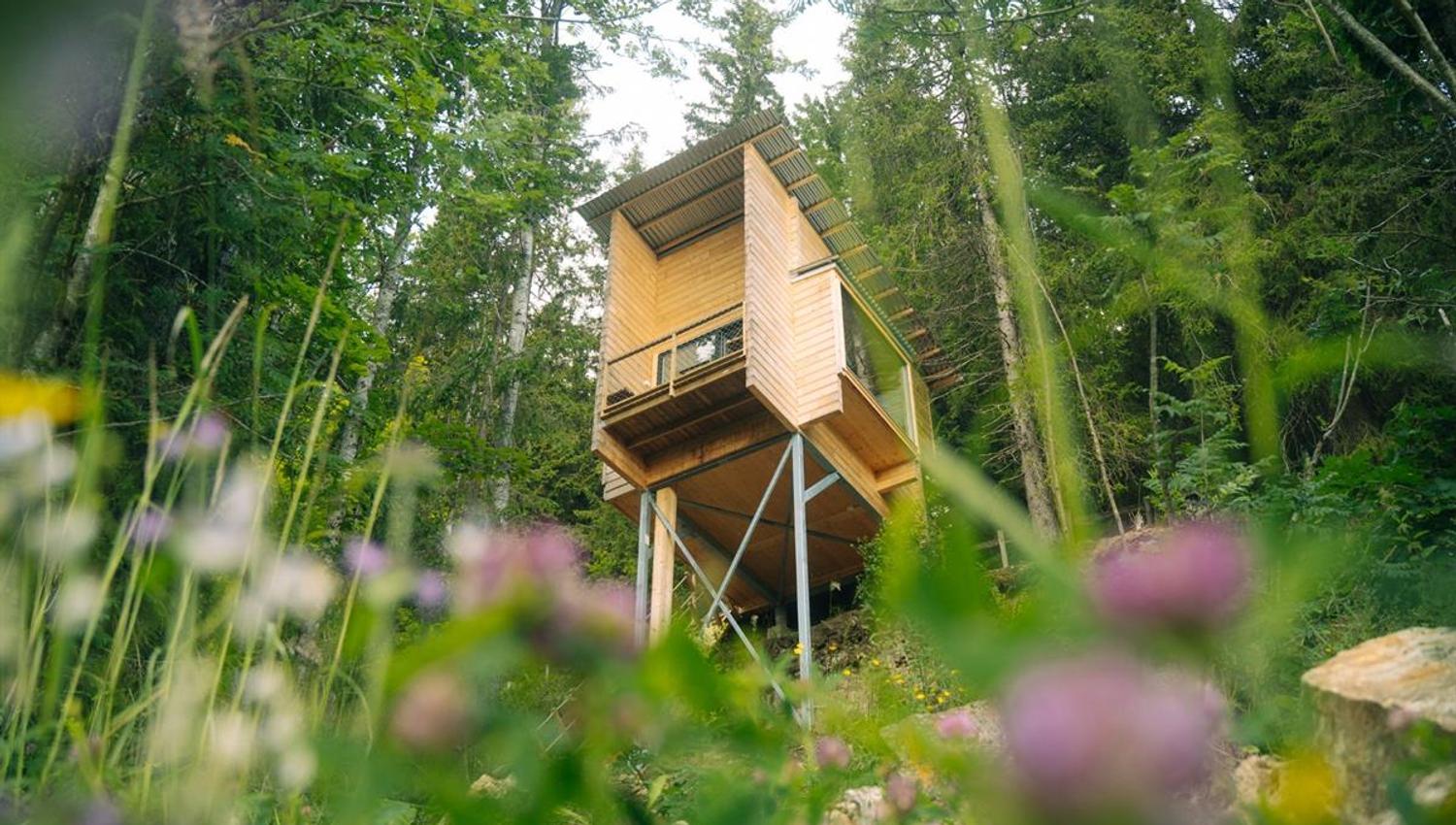 Wooden cabin on tall stilts surrounded by dense forest, with flowers in the foreground.