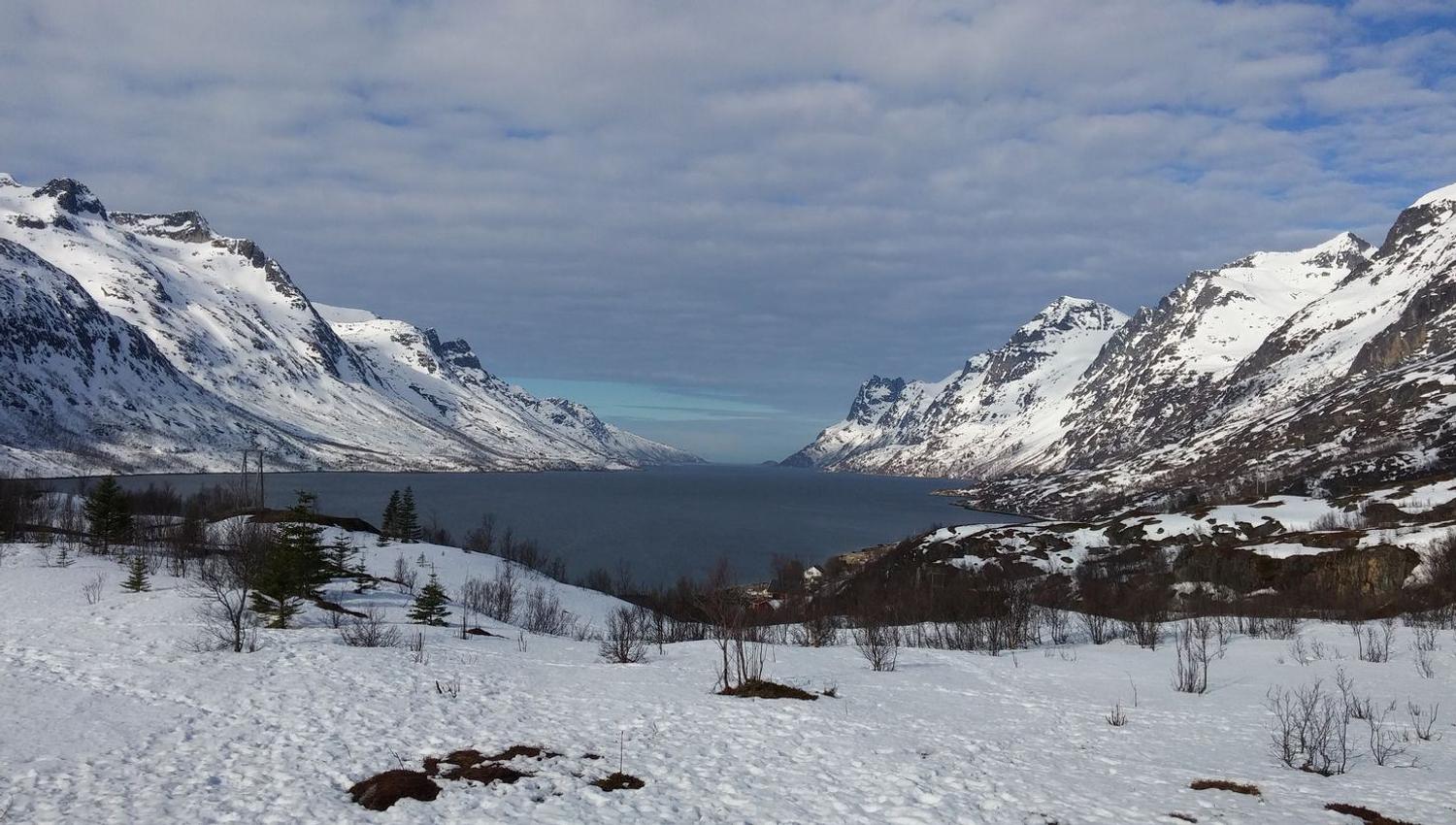 Fjord med snødekte fjell