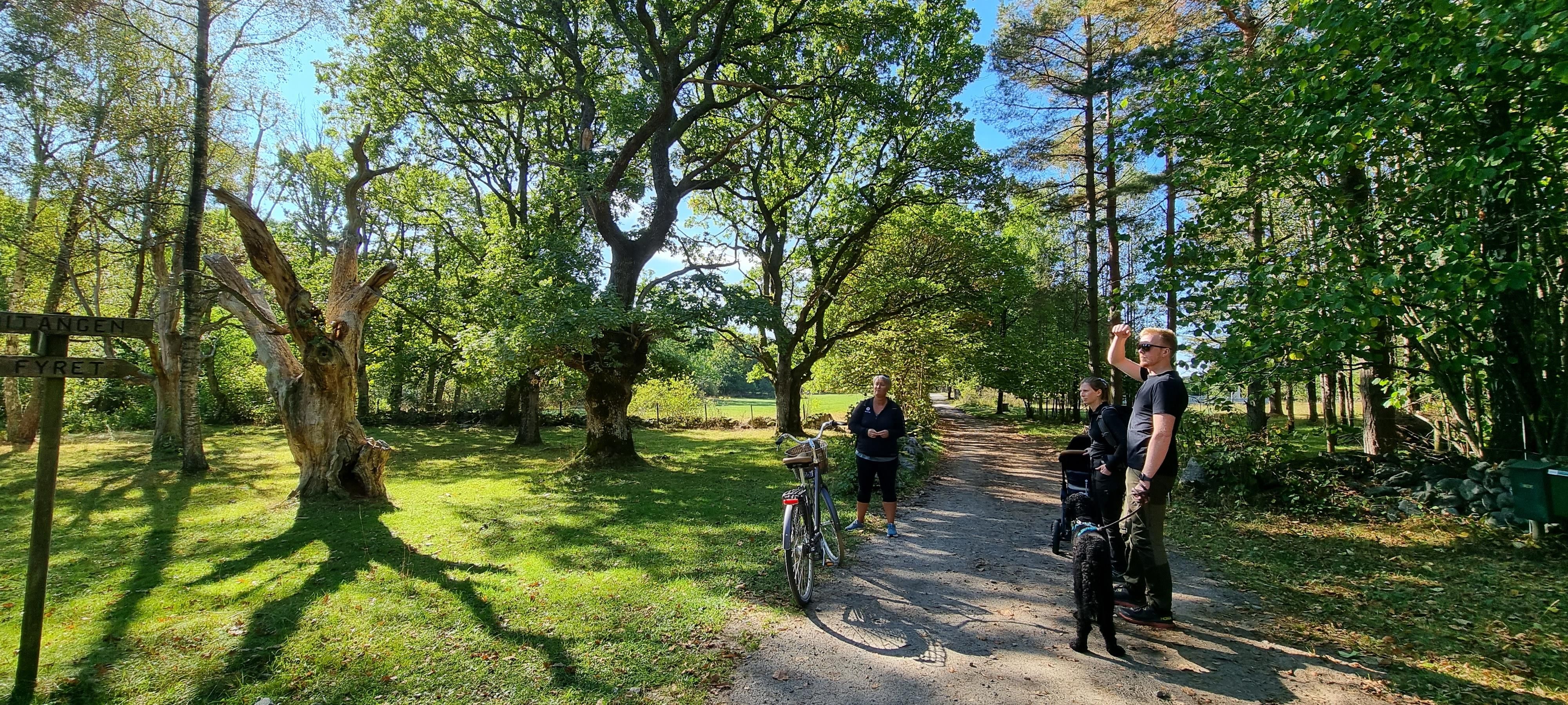 Guidet tur på Jomfruland