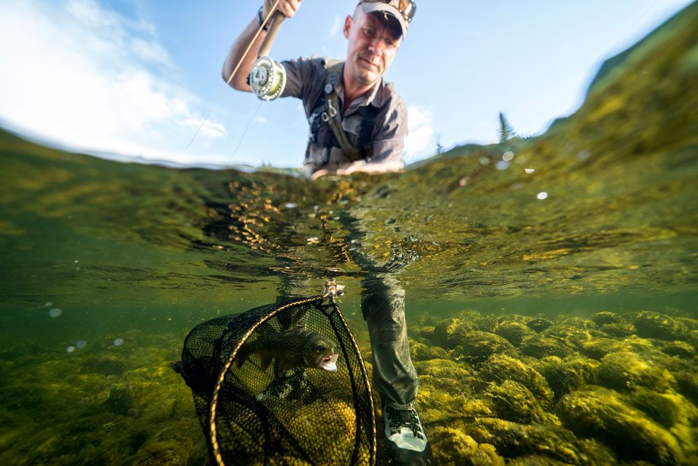 mann har fanget fisk med nett